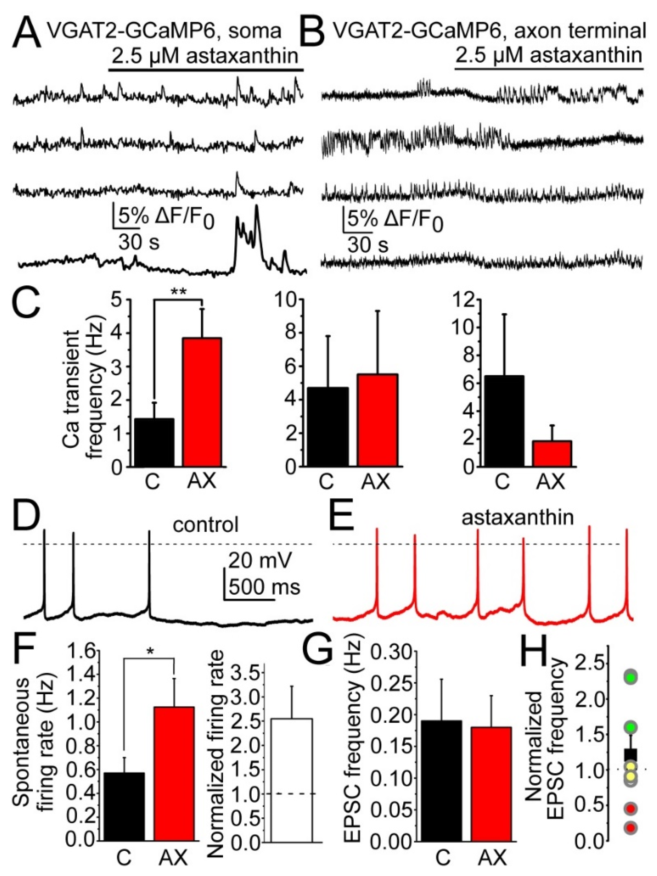 Ijms 23 00917 g005 Ijms 23 00917 g005