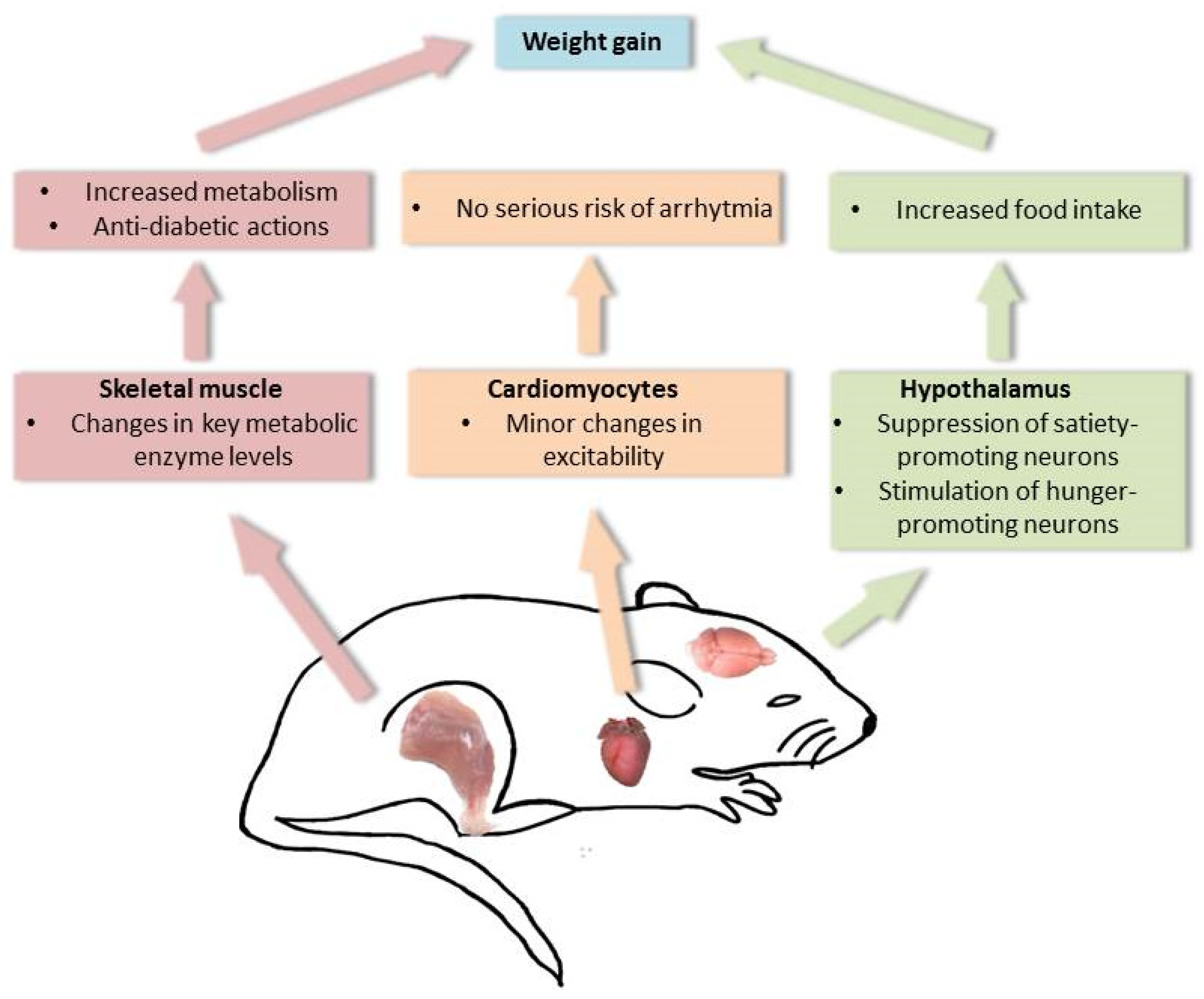 Ijms 23 00917 g007 Ijms 23 00917 g007