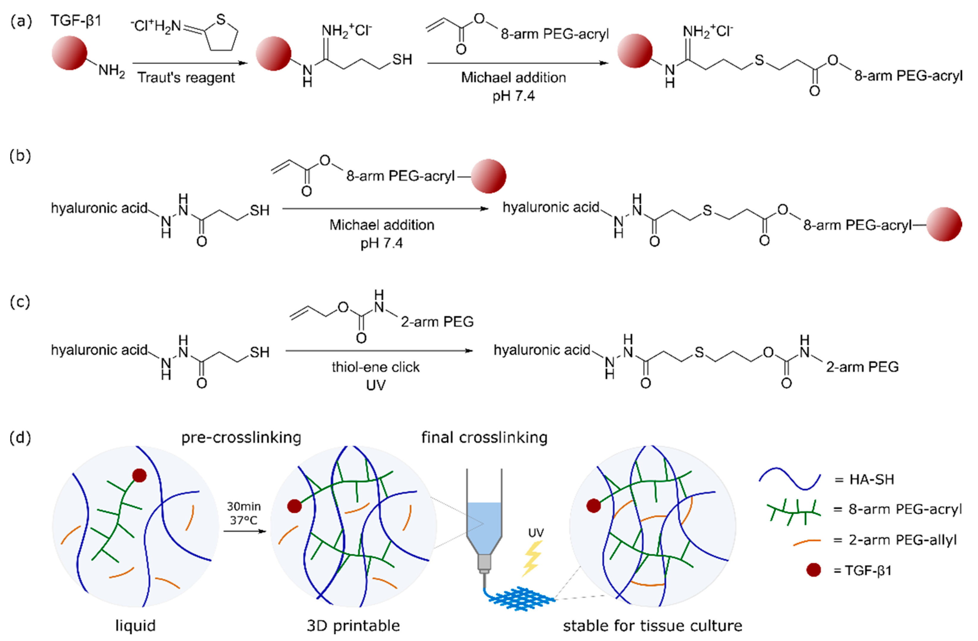 Ijms 23 00924 g001 550