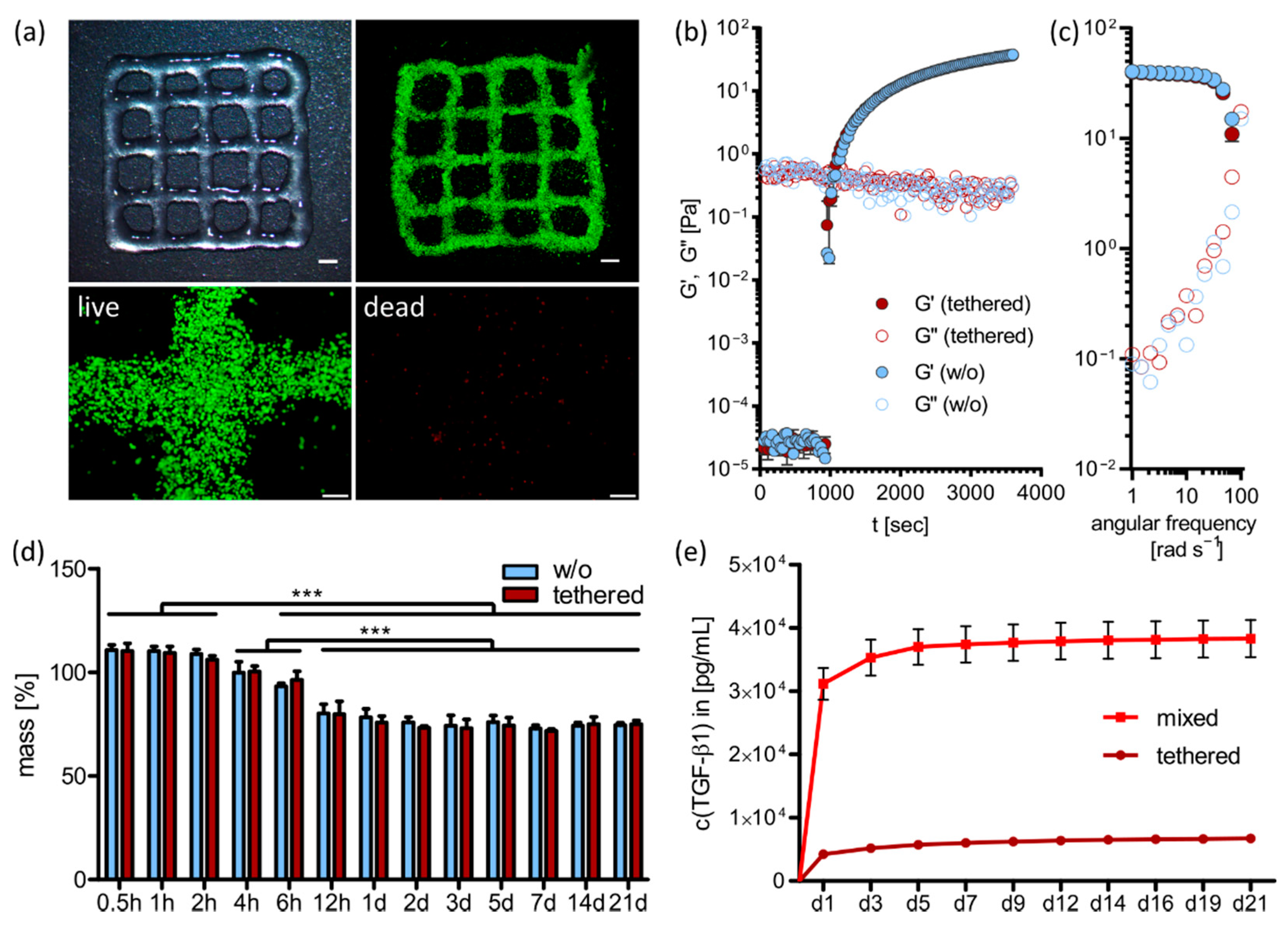 Ijms 23 00924 g002 550