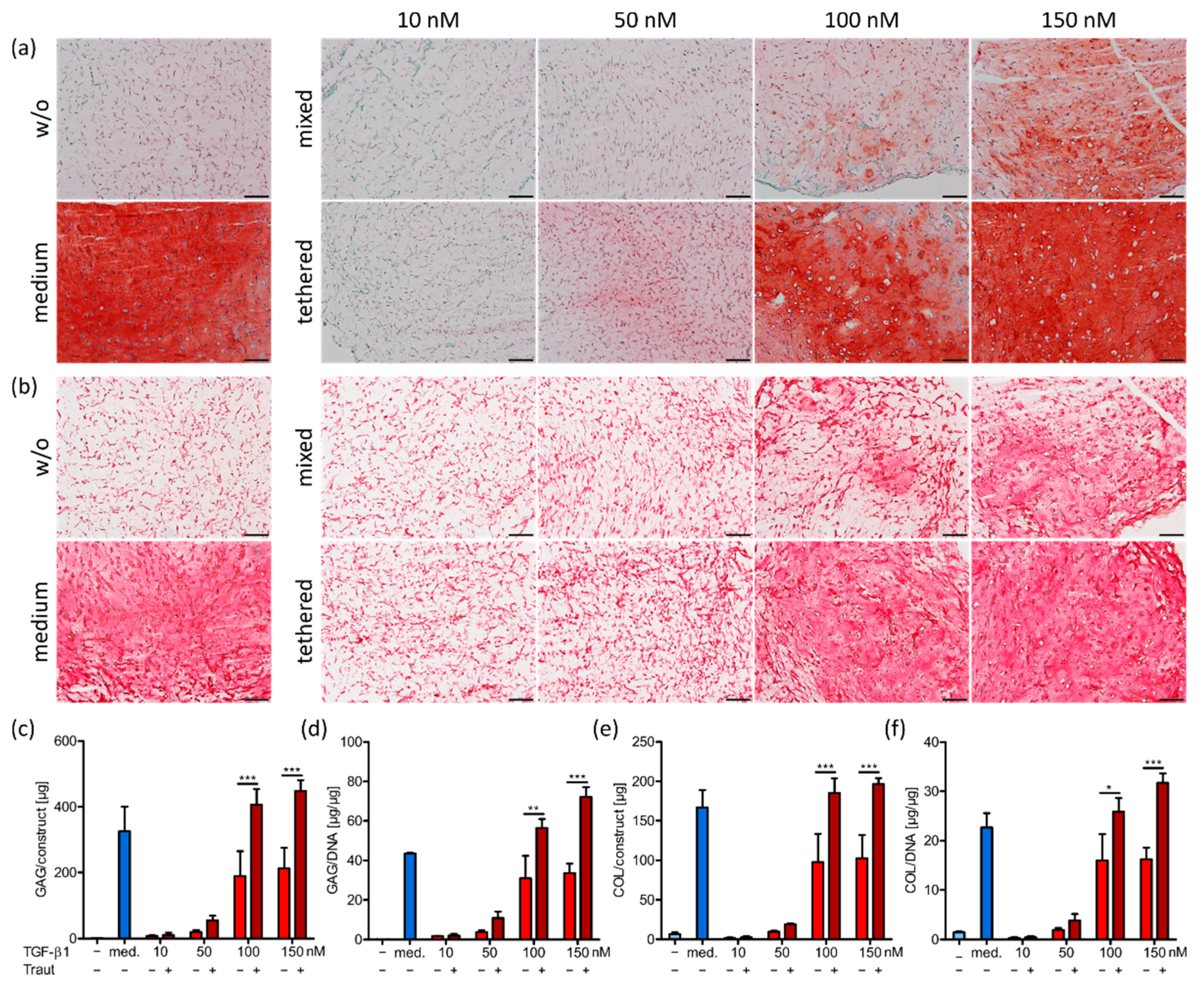 Ijms 23 00924 g003 550