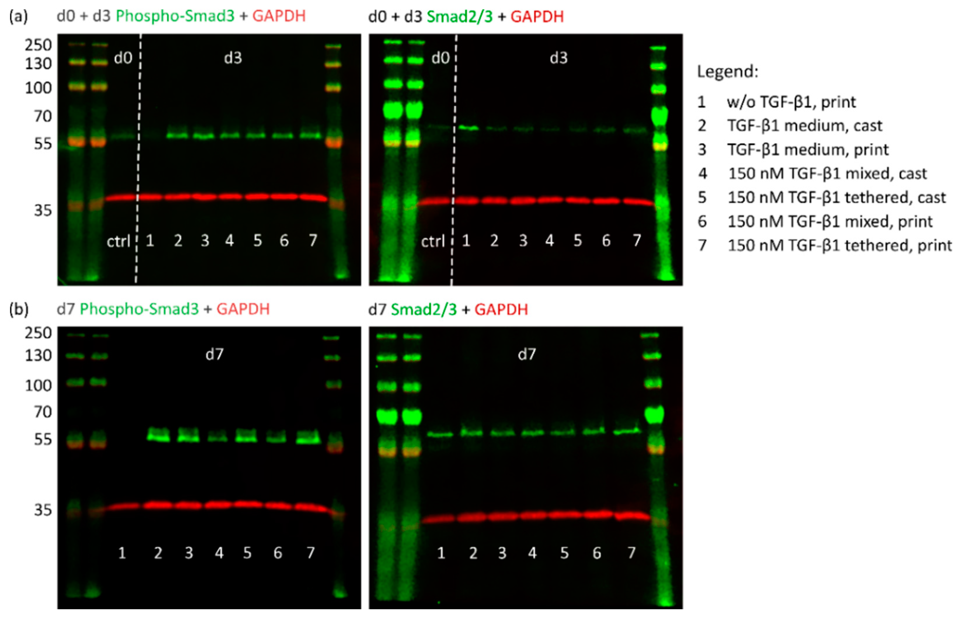 Ijms 23 00924 g004 550