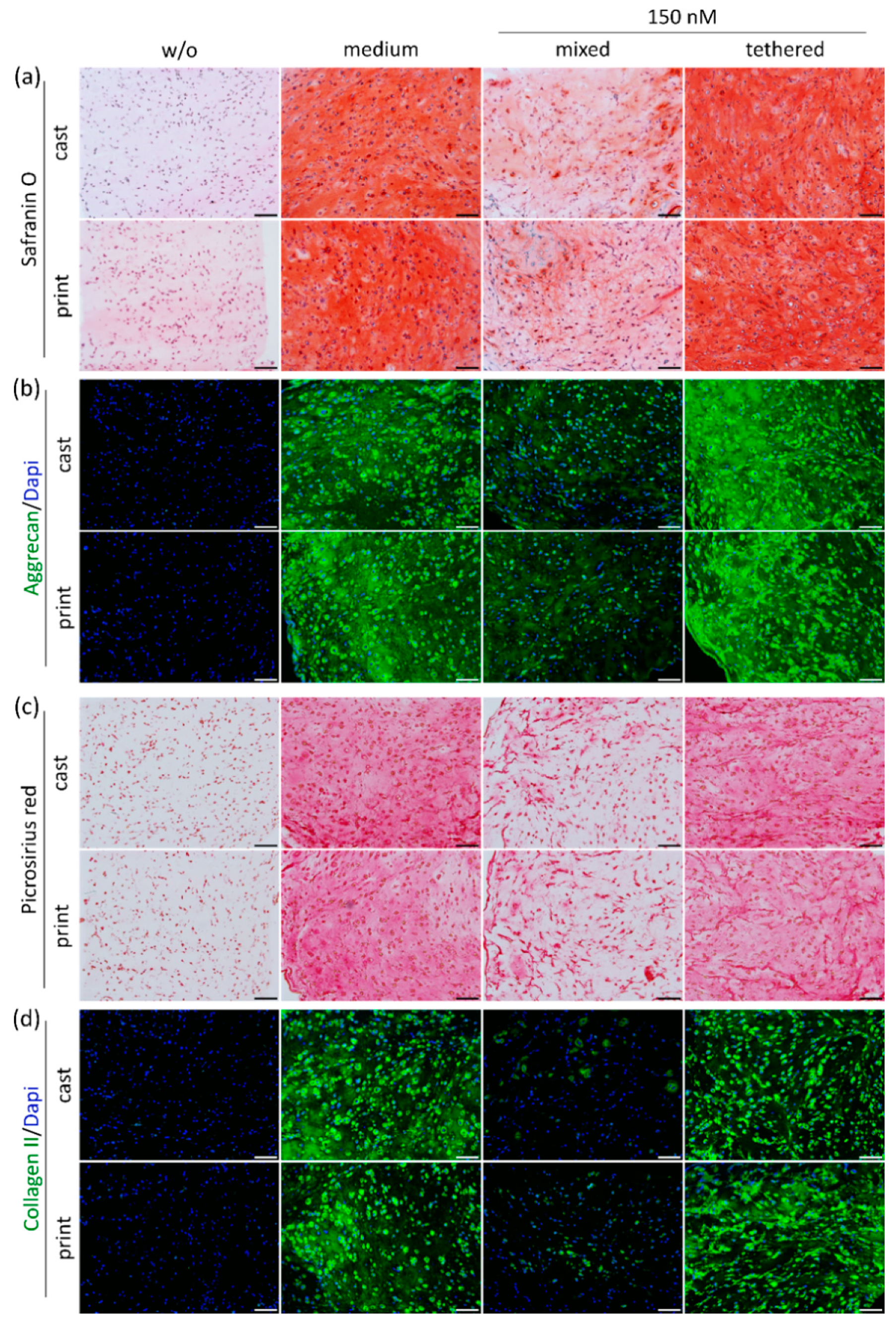 Ijms 23 00924 g006 550