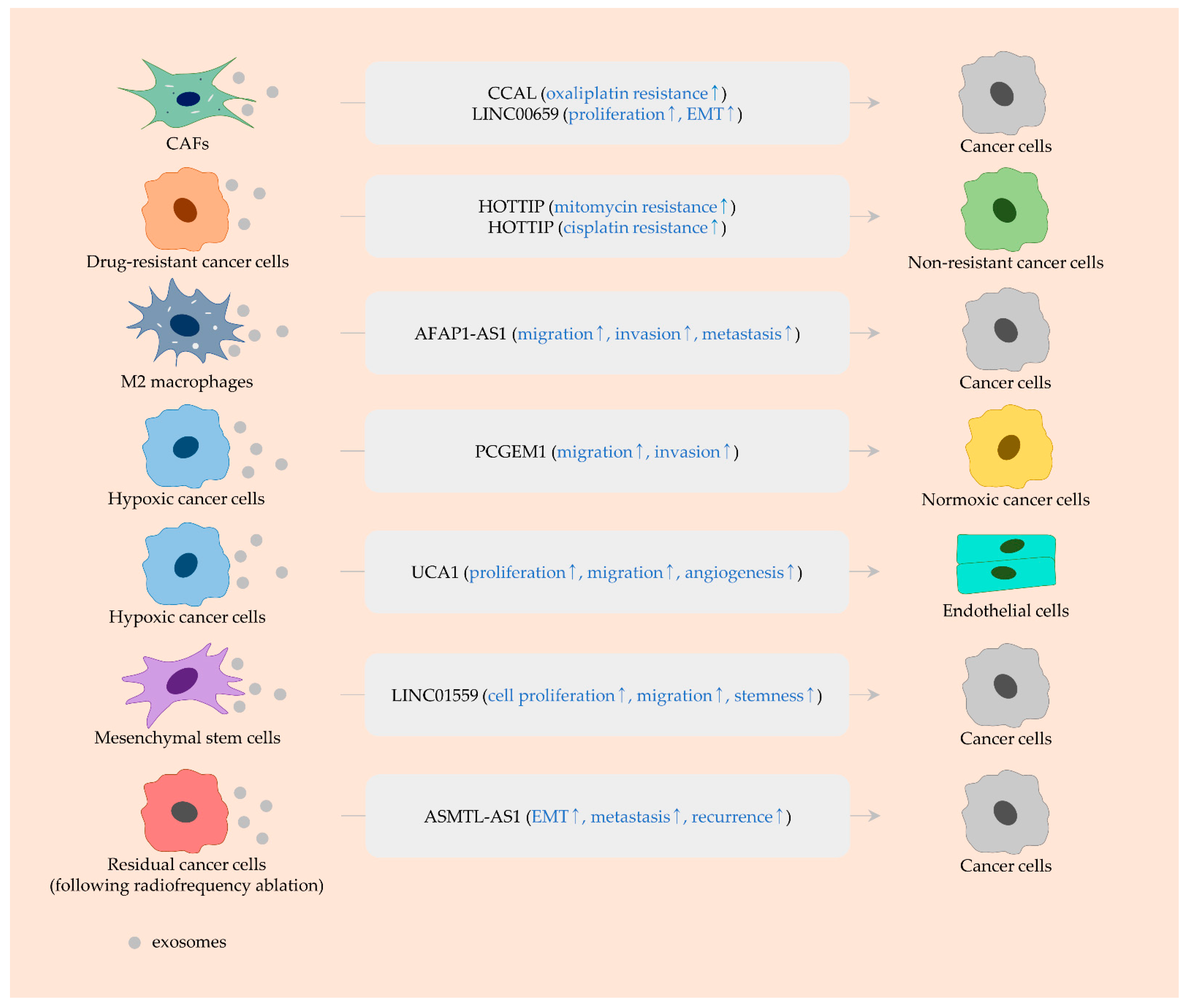 jun Immune Cell Migration to Cancer