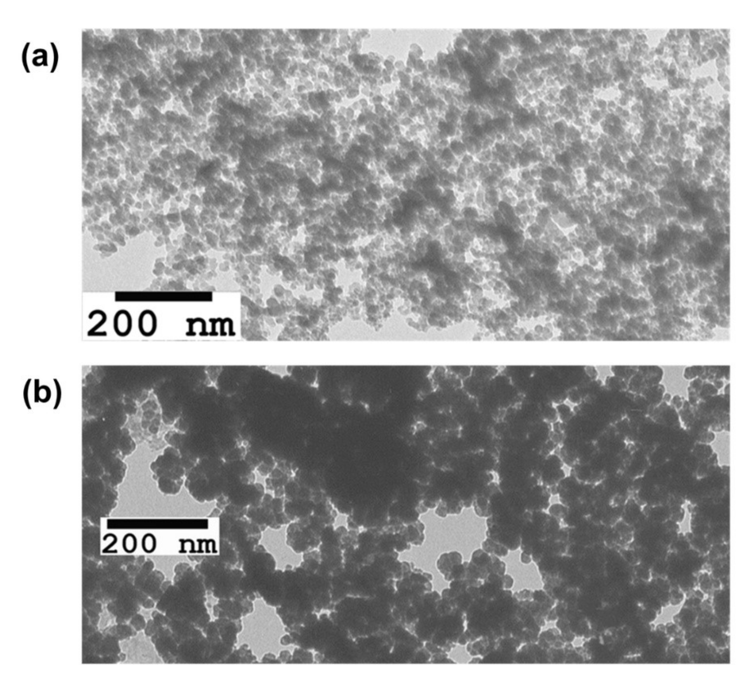 Ijms 23 00932 g002 550