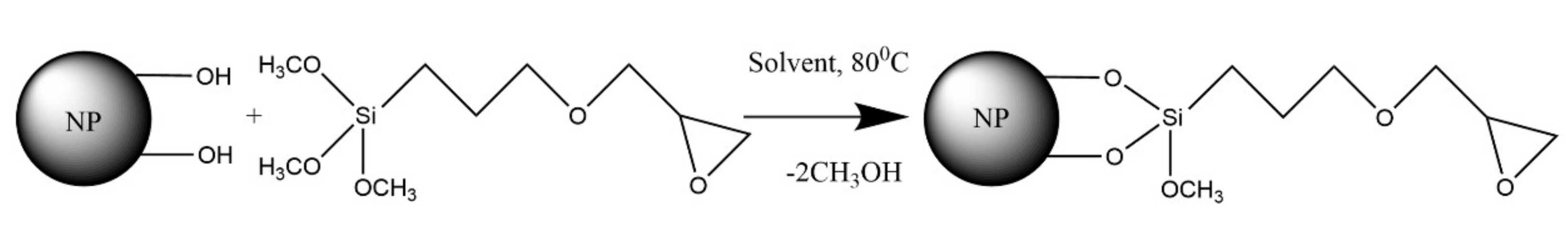 Ijms 23 00932 g003 550