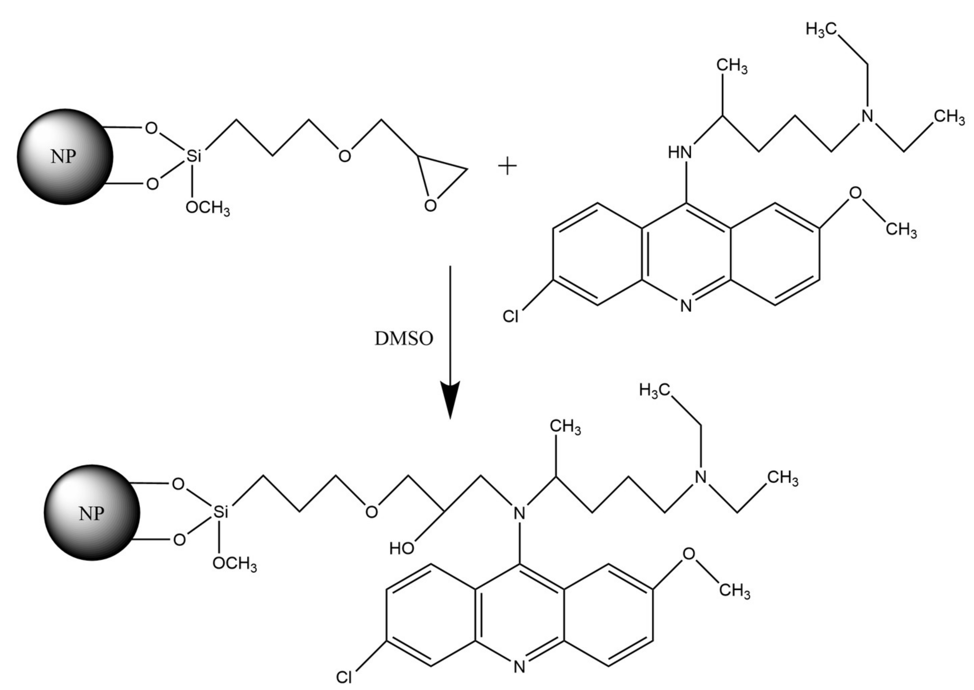 Ijms 23 00932 g004 550