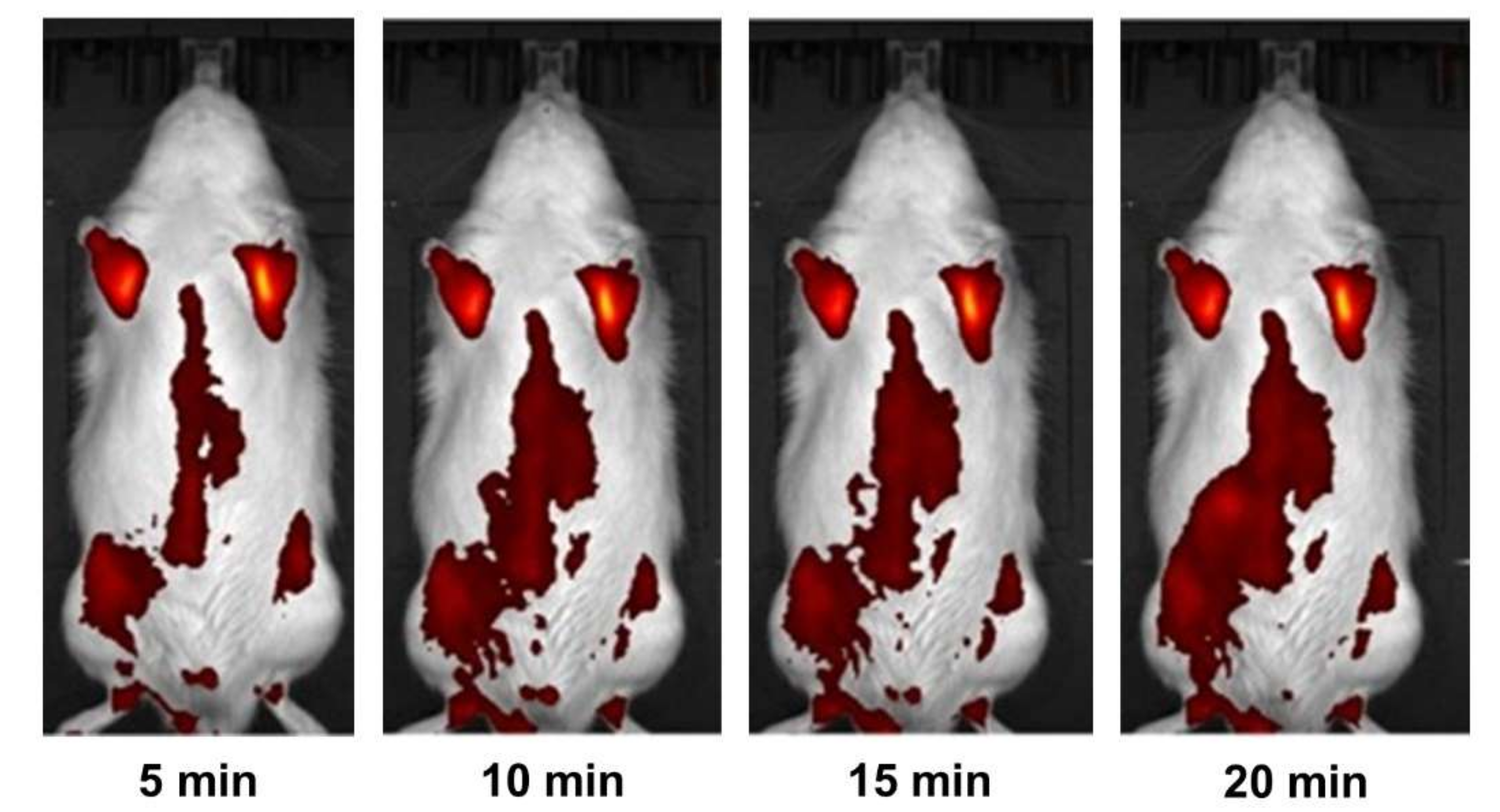 Ijms 23 00932 g011 550