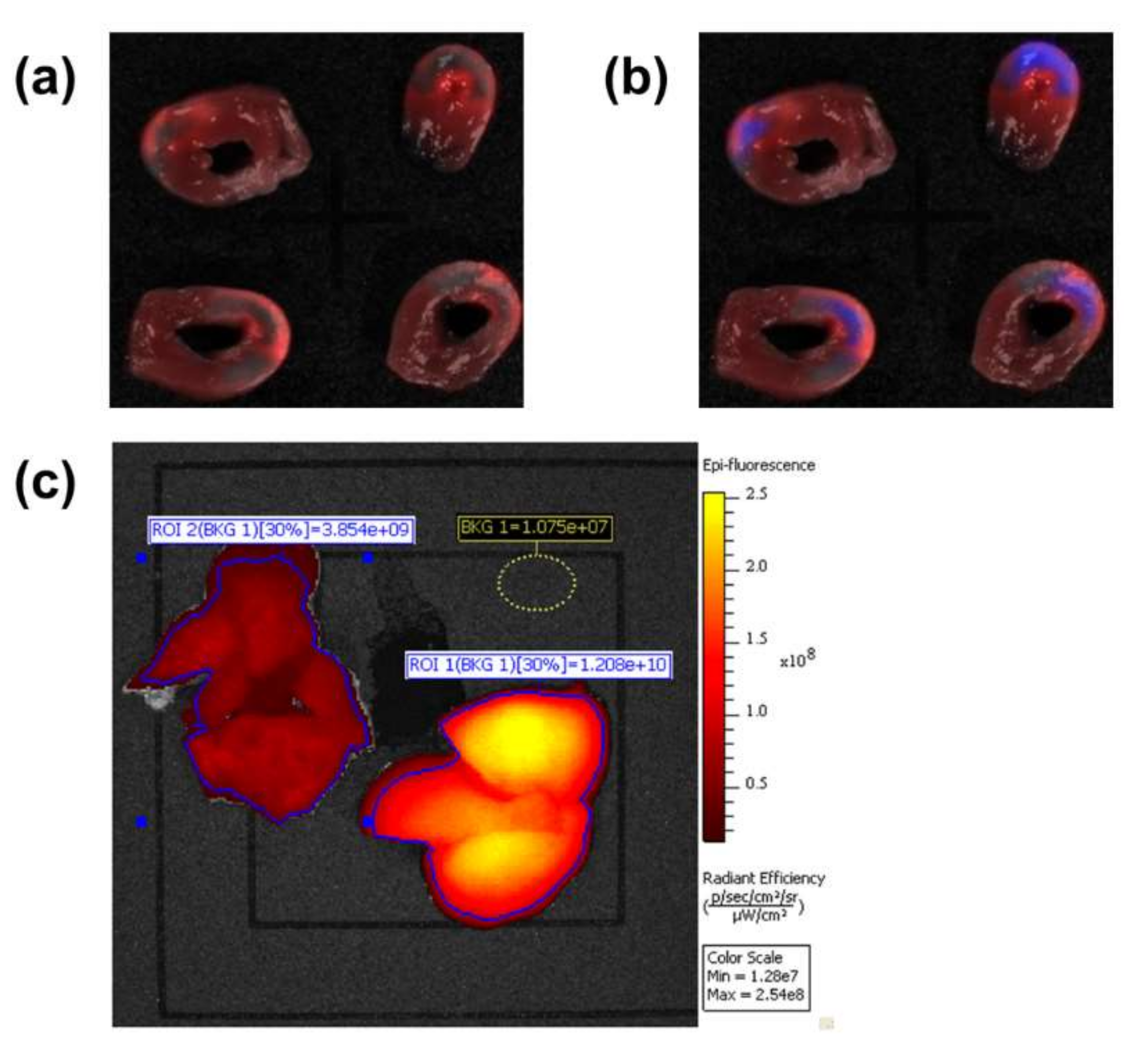 Ijms 23 00932 g012 550
