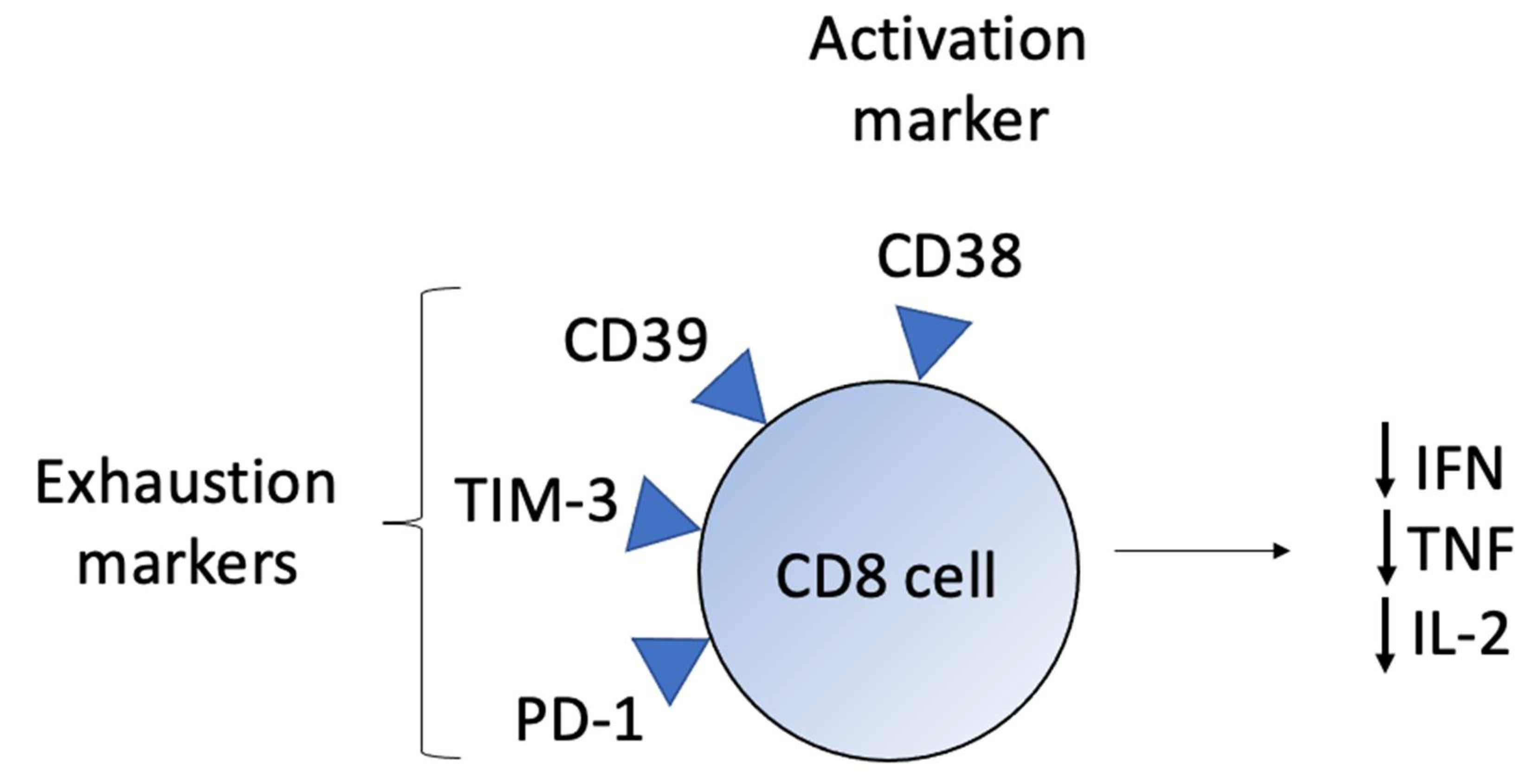Ijms 23 00936 g002 Ijms 23 00936 g002