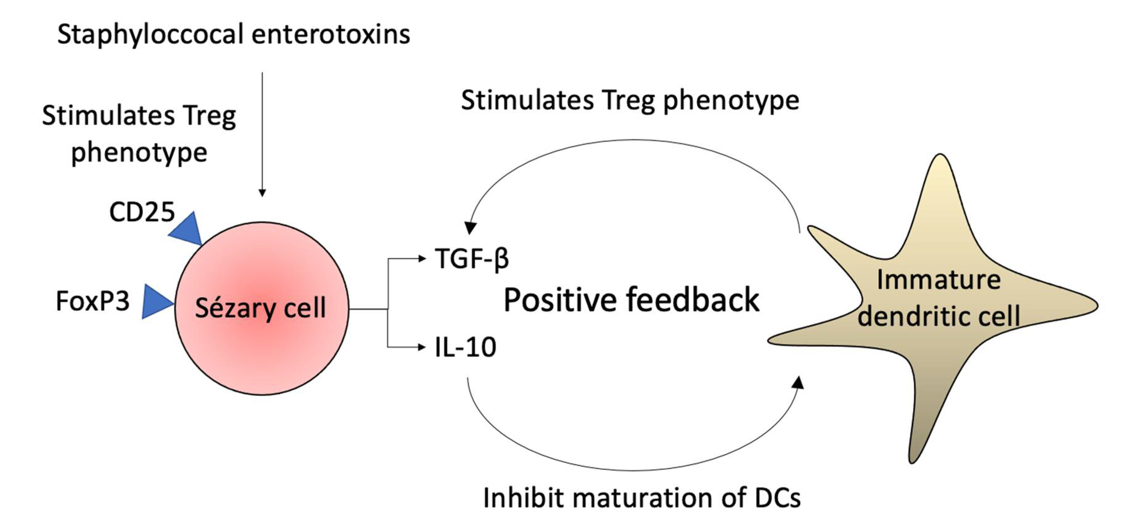 Ijms 23 00936 g004 Ijms 23 00936 g004