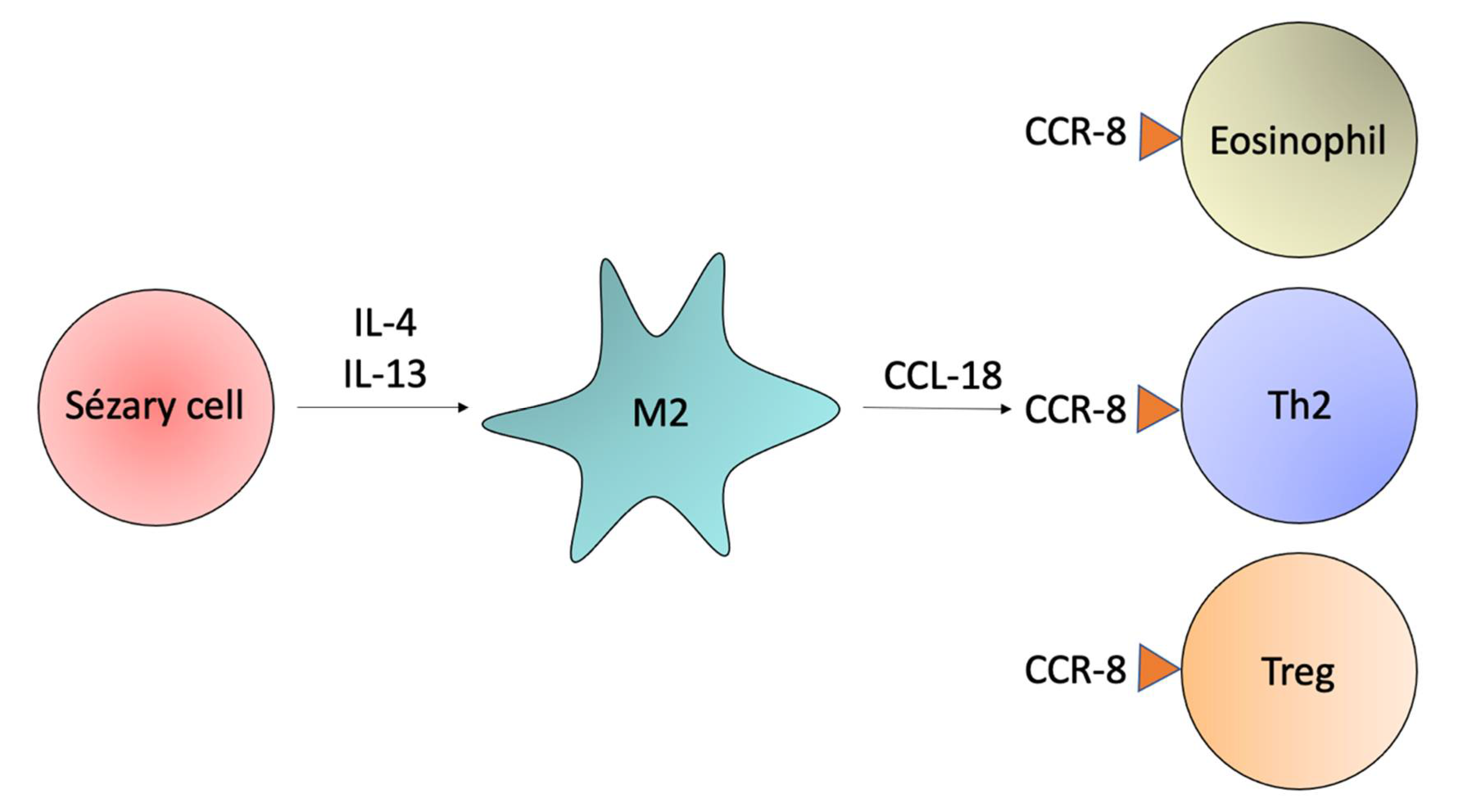 Ijms 23 00936 g005 Ijms 23 00936 g005