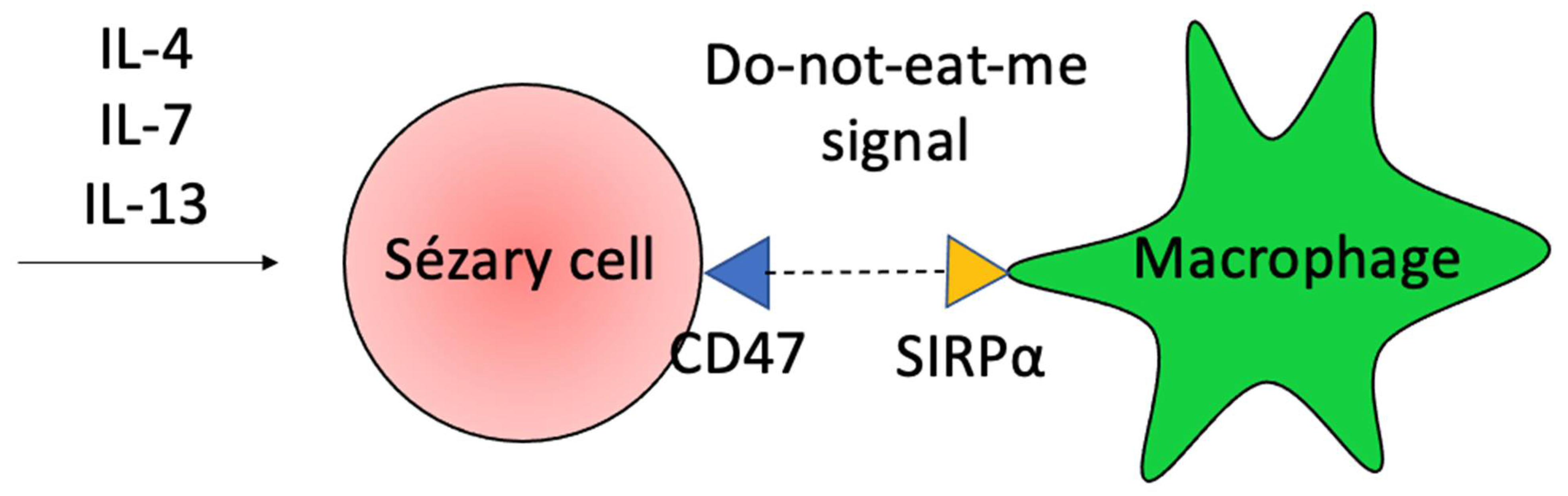 Ijms 23 00936 g006 Ijms 23 00936 g006