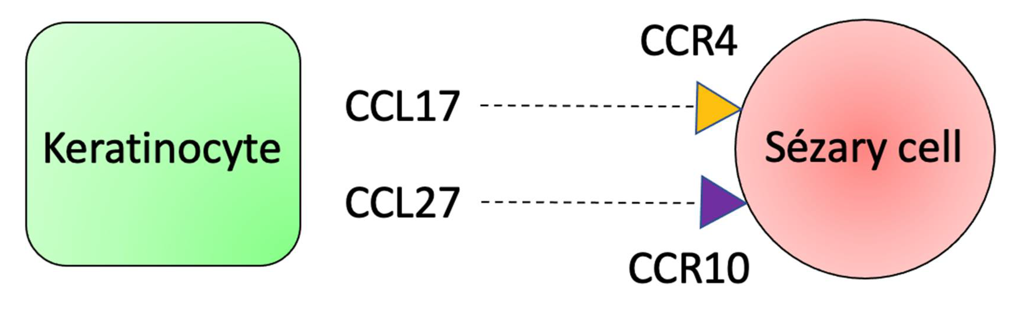 Ijms 23 00936 g007 Ijms 23 00936 g007