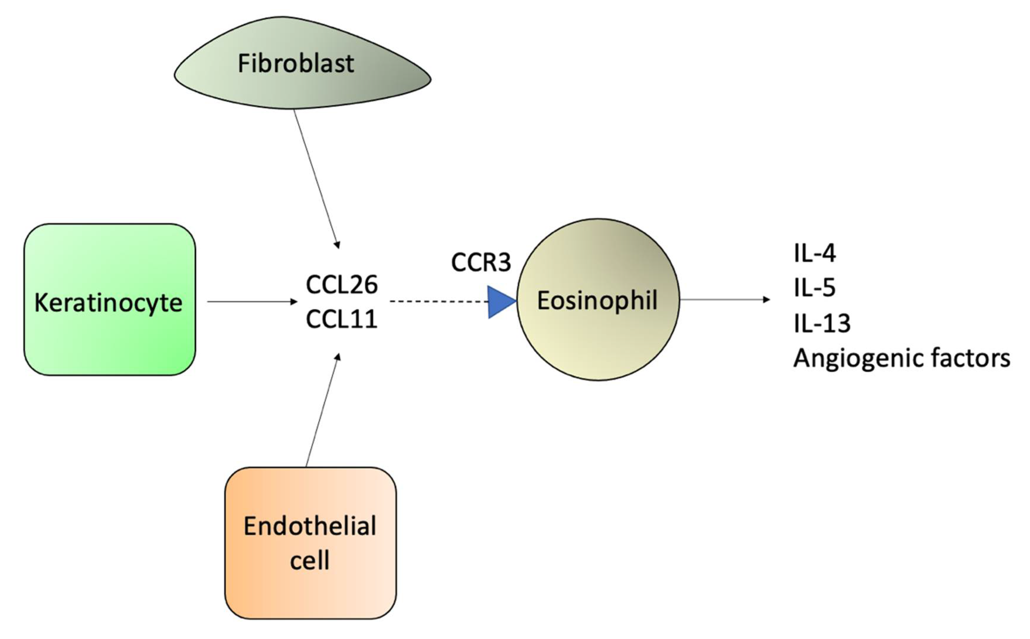 Ijms 23 00936 g008 Ijms 23 00936 g008