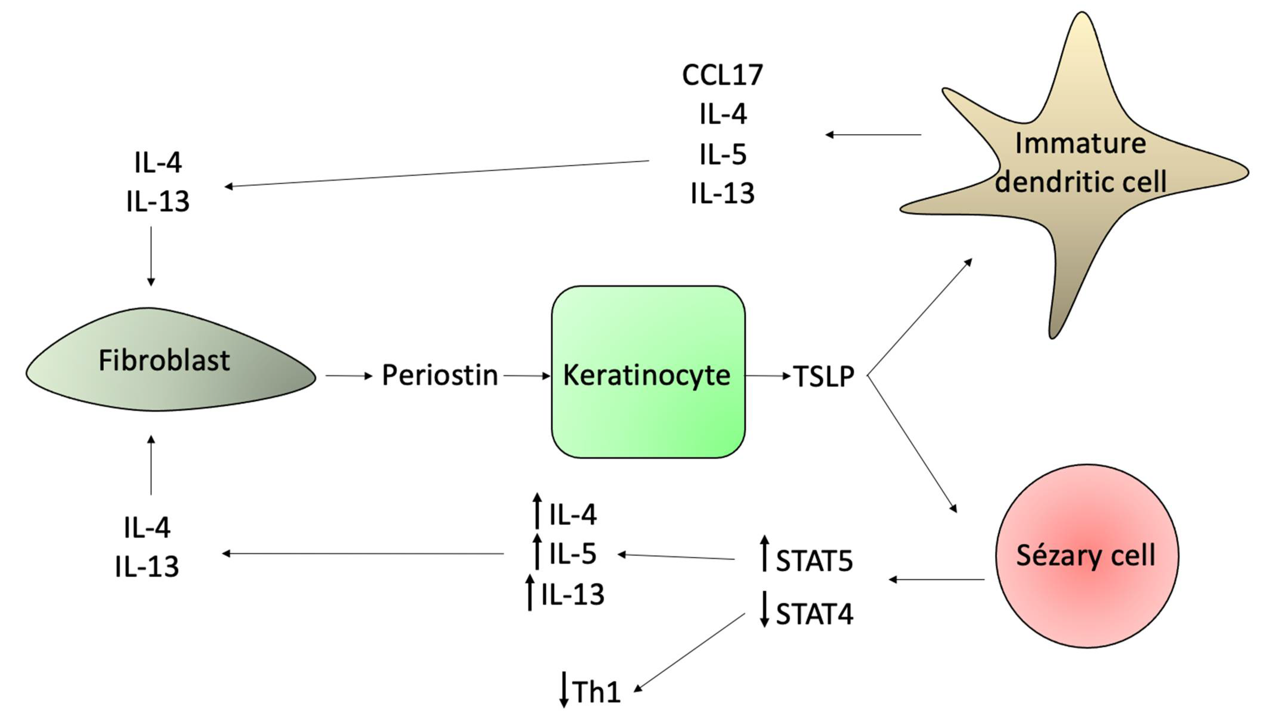Ijms 23 00936 g009 Ijms 23 00936 g009