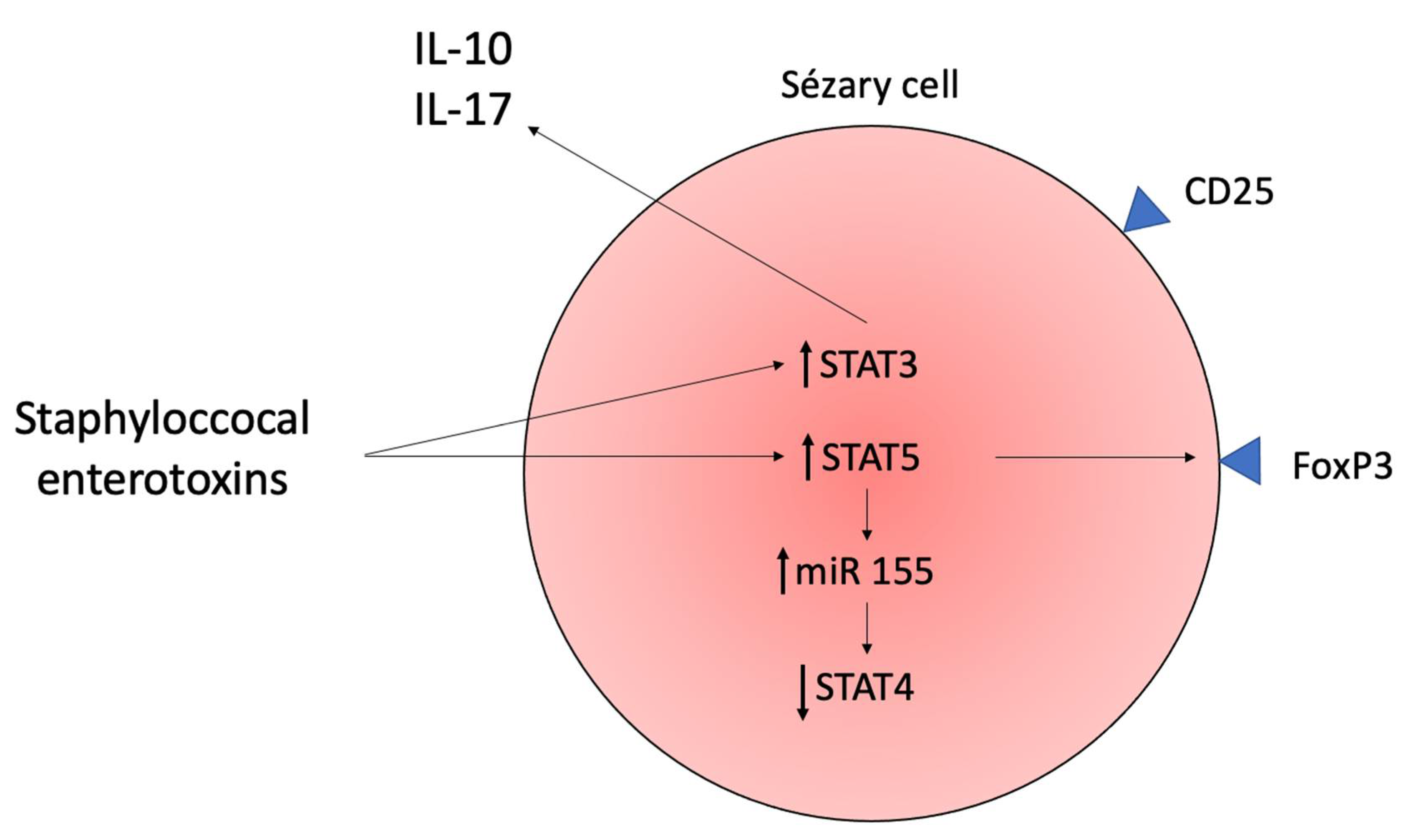 Ijms 23 00936 g010 Ijms 23 00936 g010