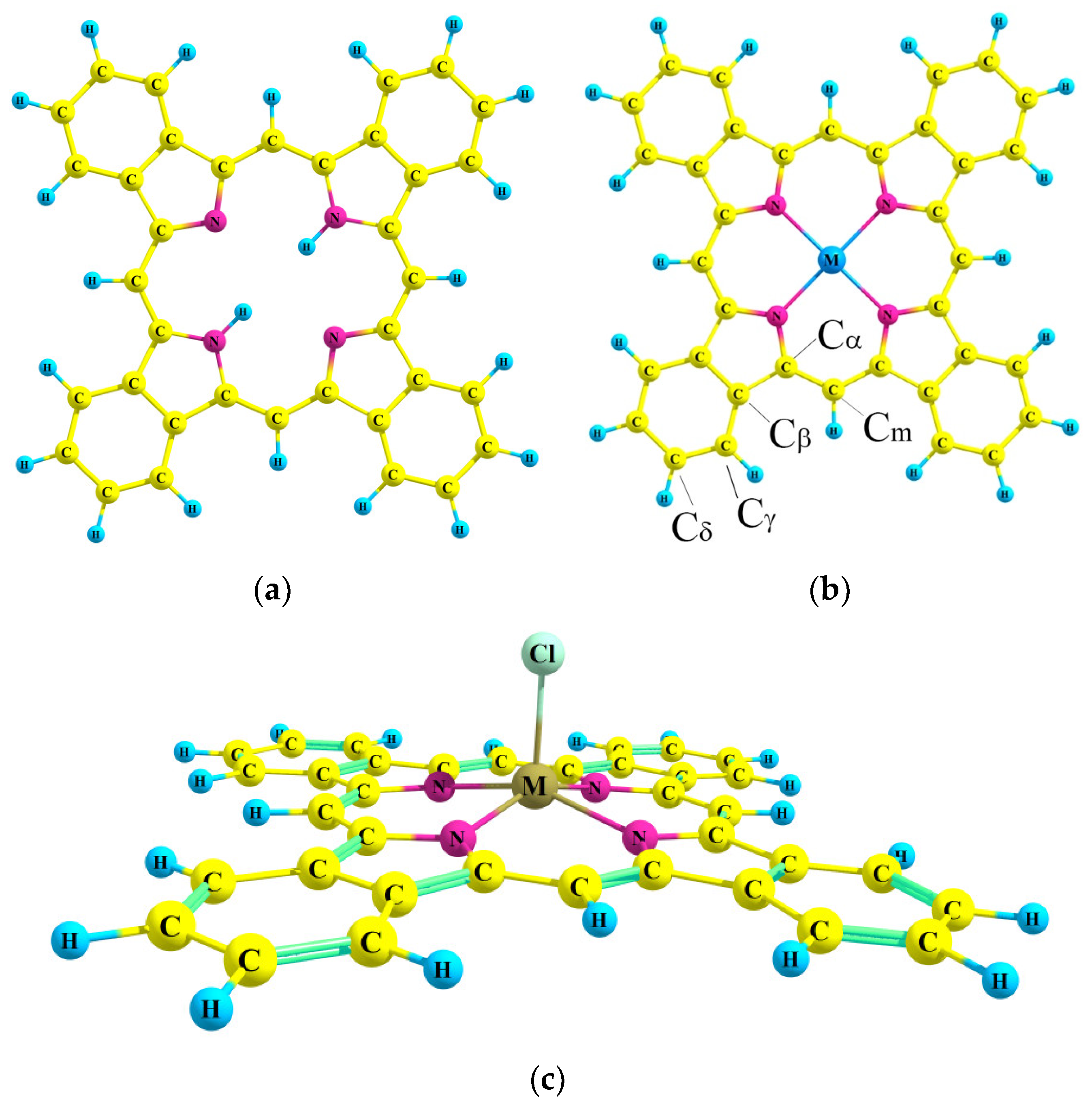 Ijms 23 00939 g001 Ijms 23 00939 g001