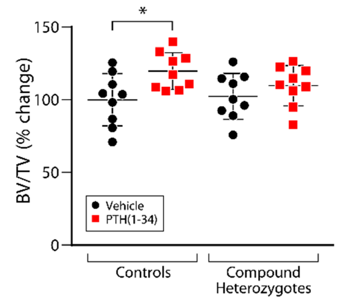 Ijms 23 00940 g003 550