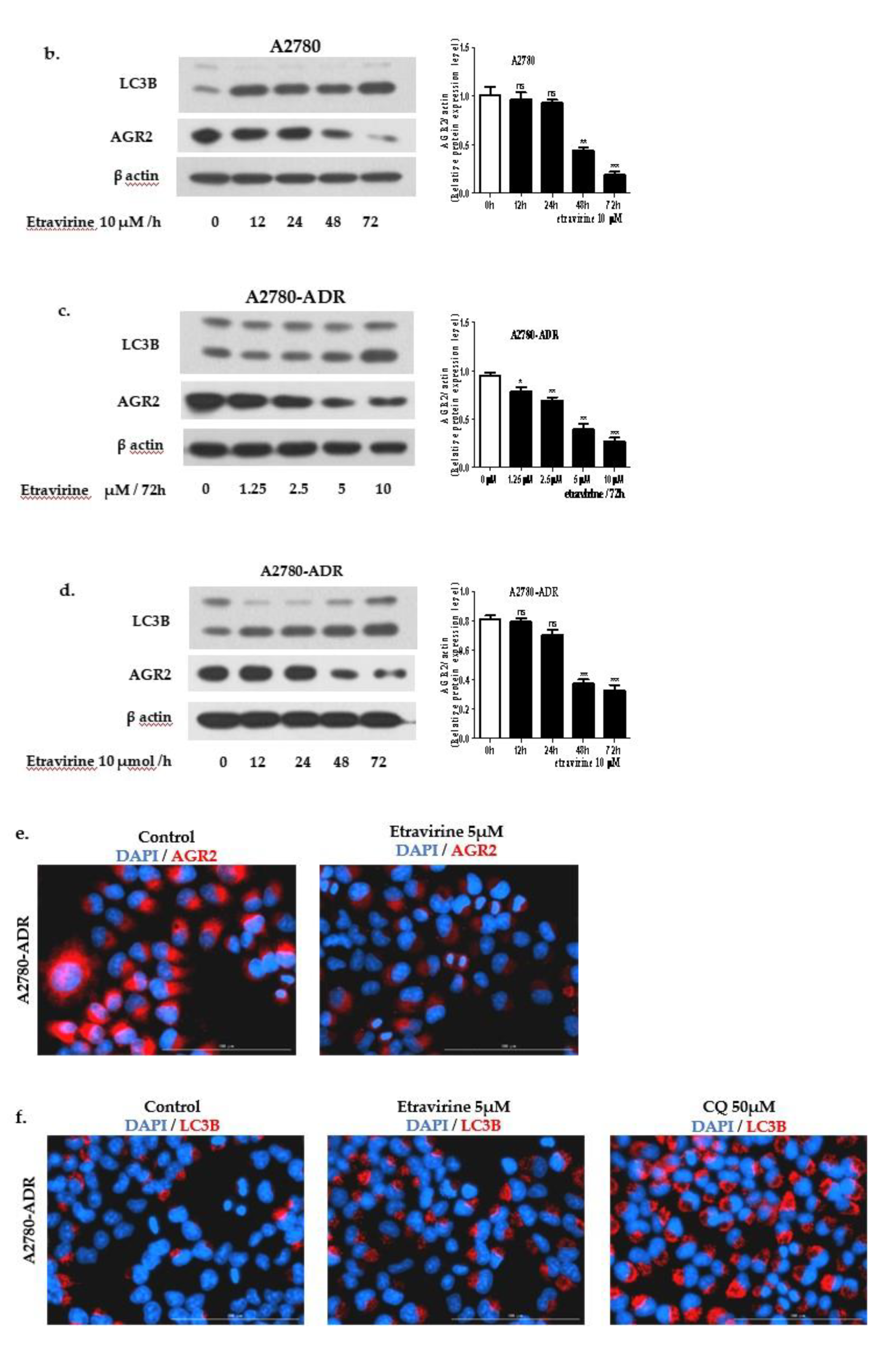 Ijms 23 00944 g001b 550