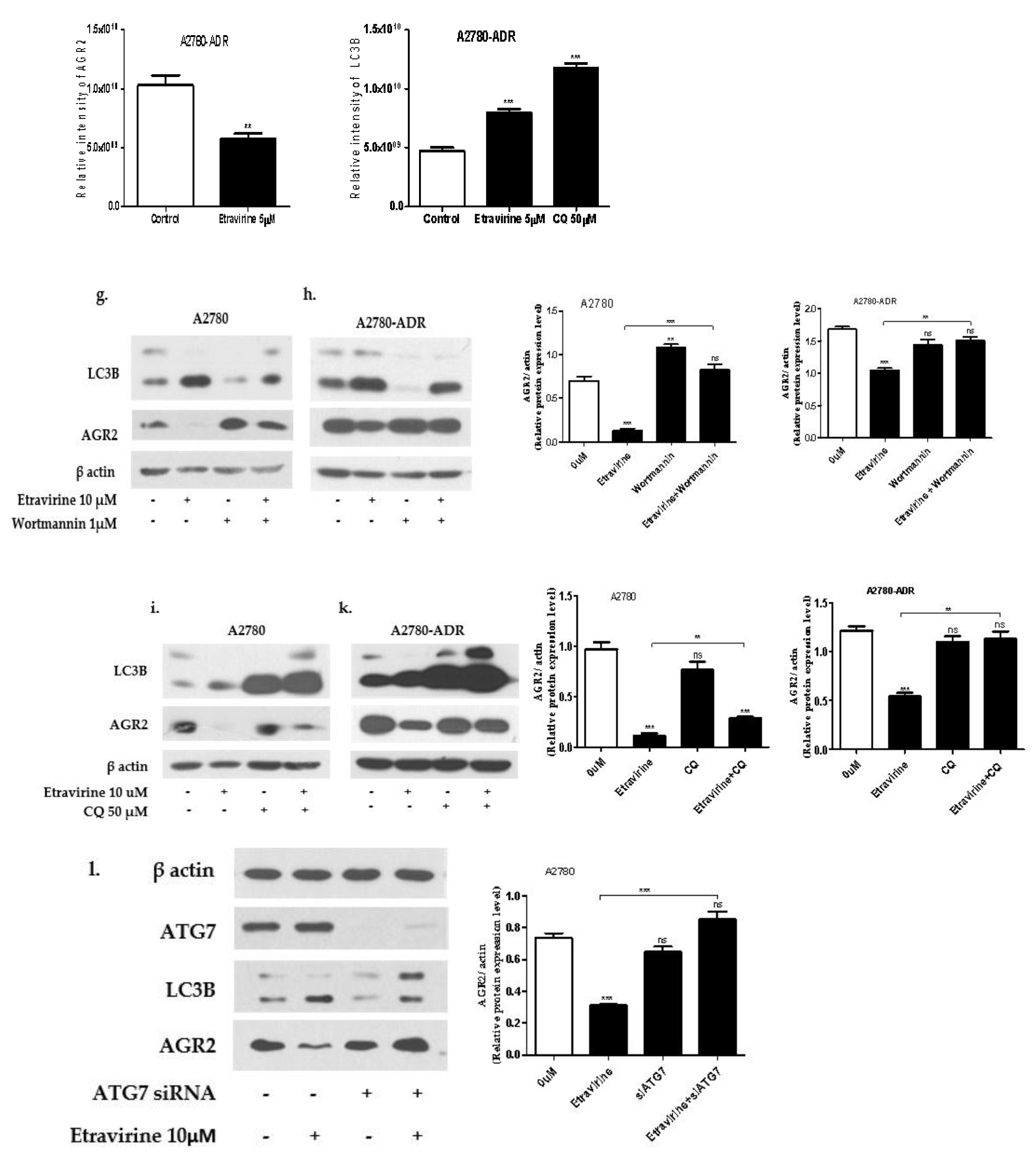 Ijms 23 00944 g001c 550