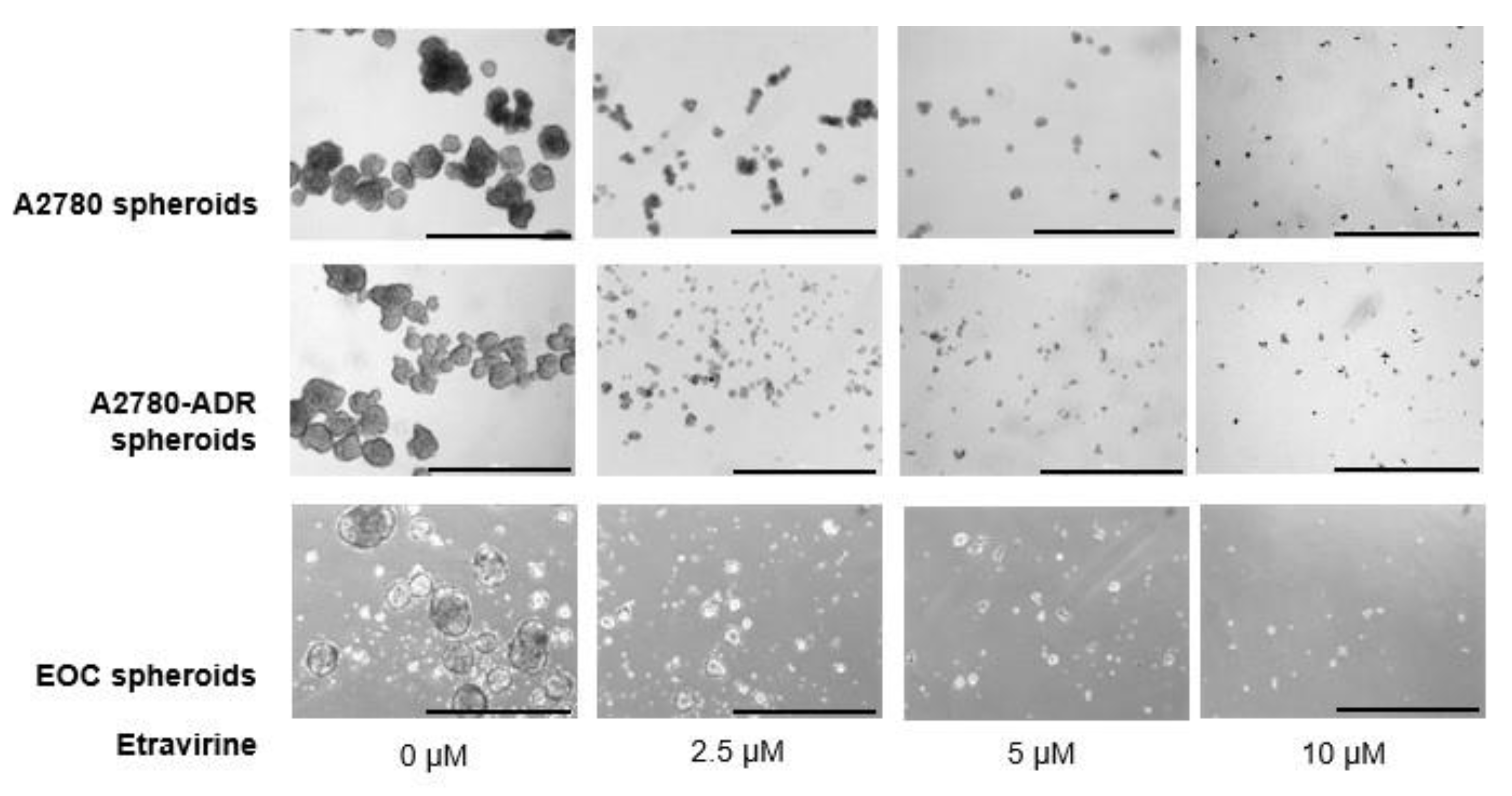 Ijms 23 00944 g003a 550