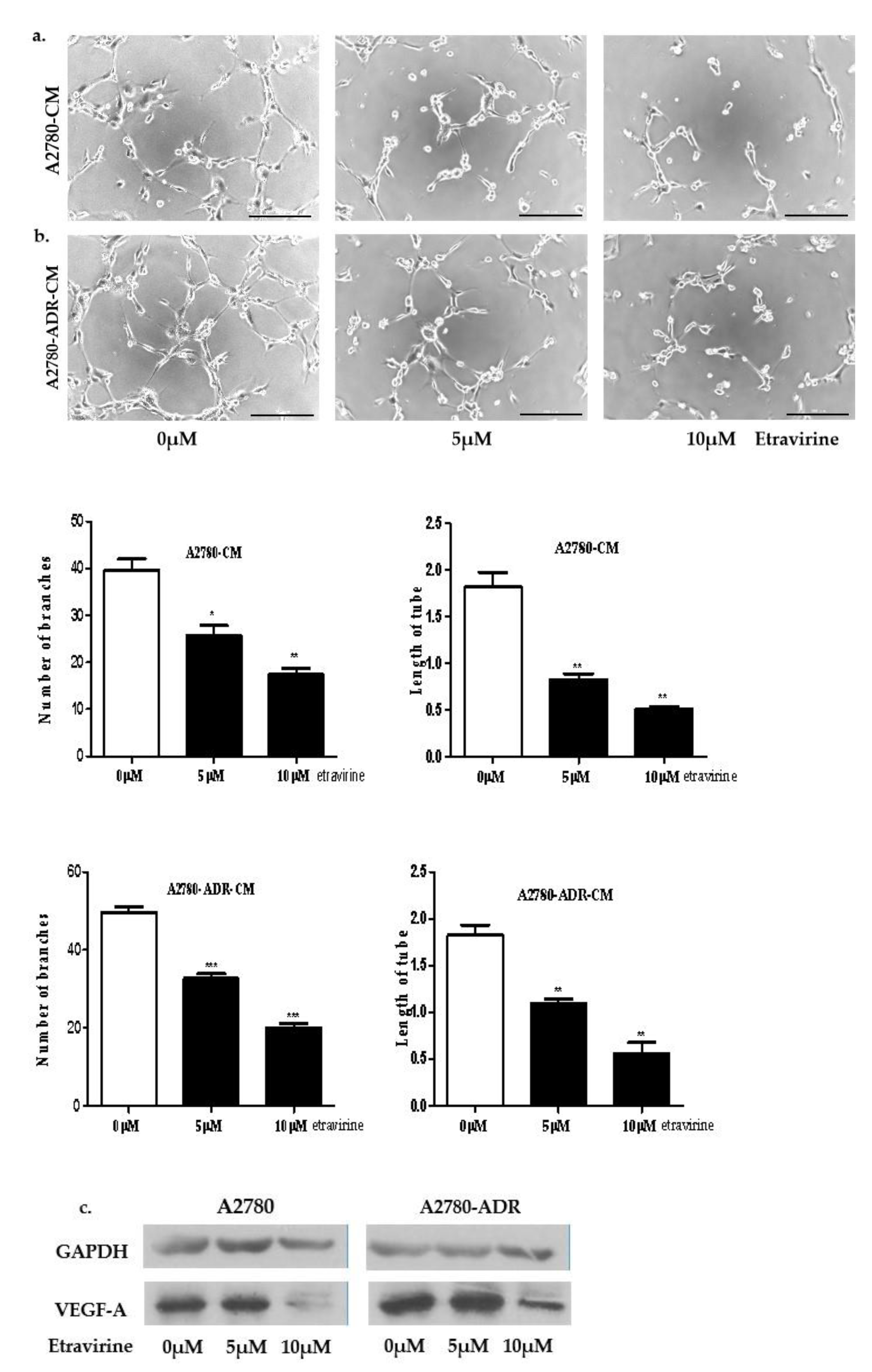 Ijms 23 00944 g004 550