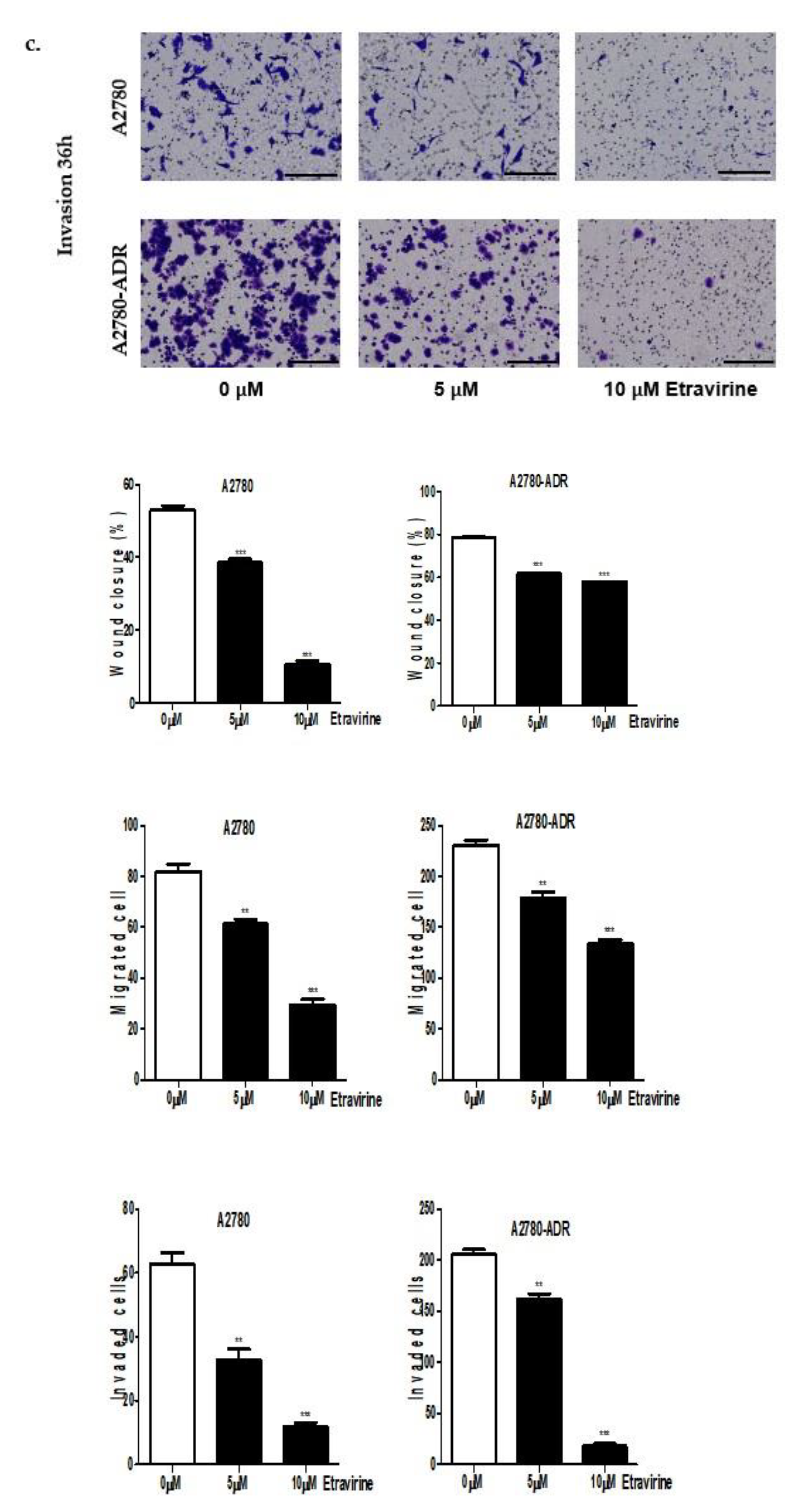 Ijms 23 00944 g005b 550