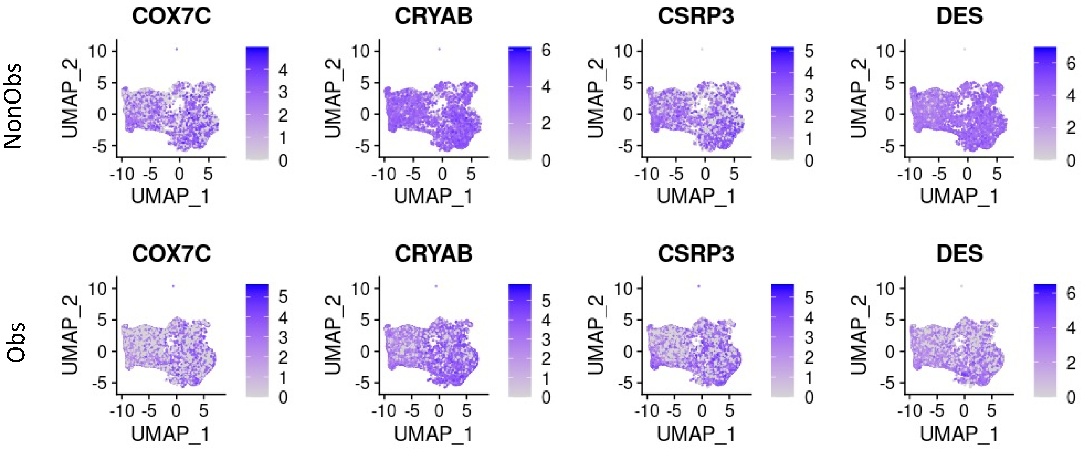 Ijms 23 00946 g002 550