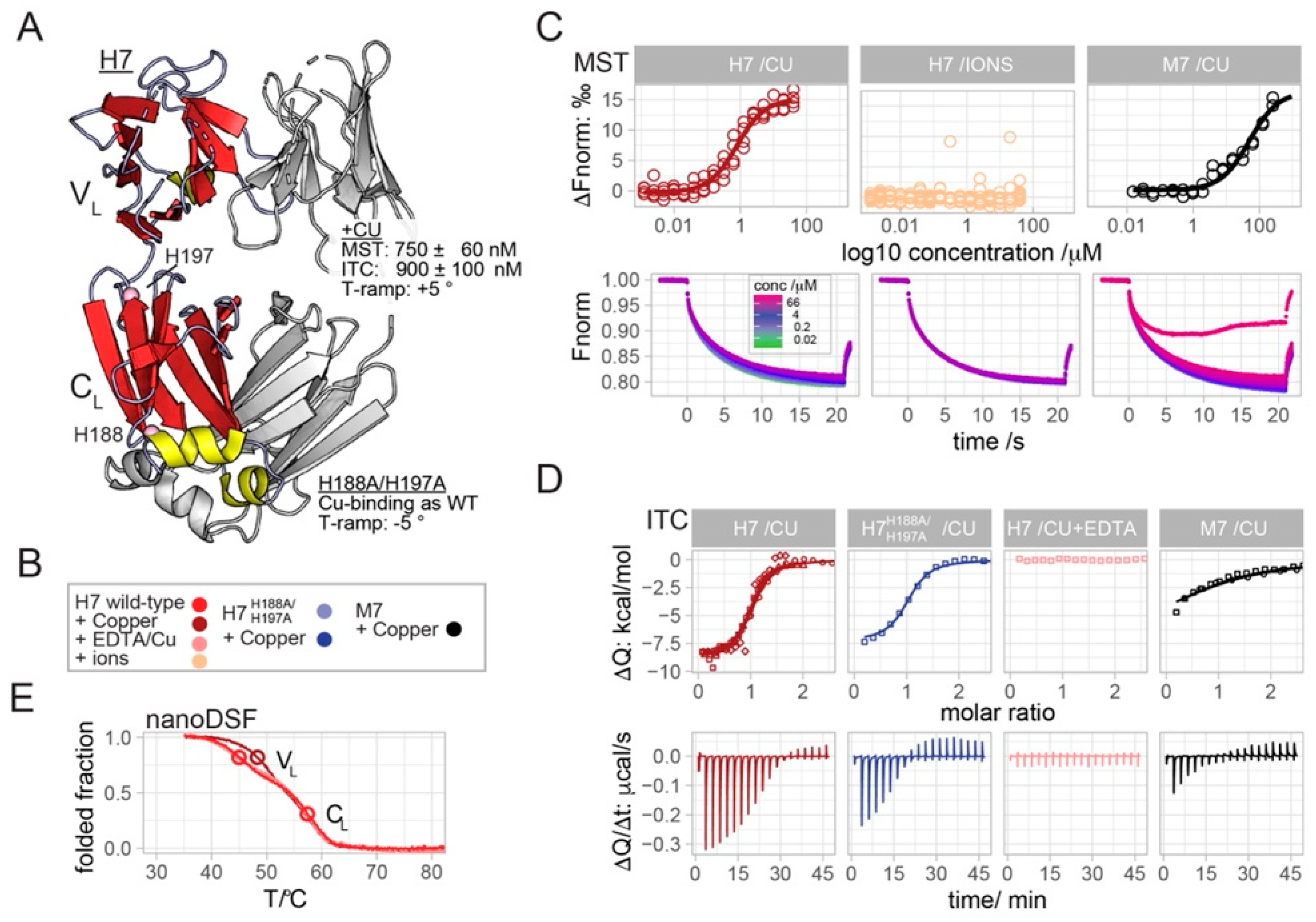 Ijms 23 00950 g001 Ijms 23 00950 g001