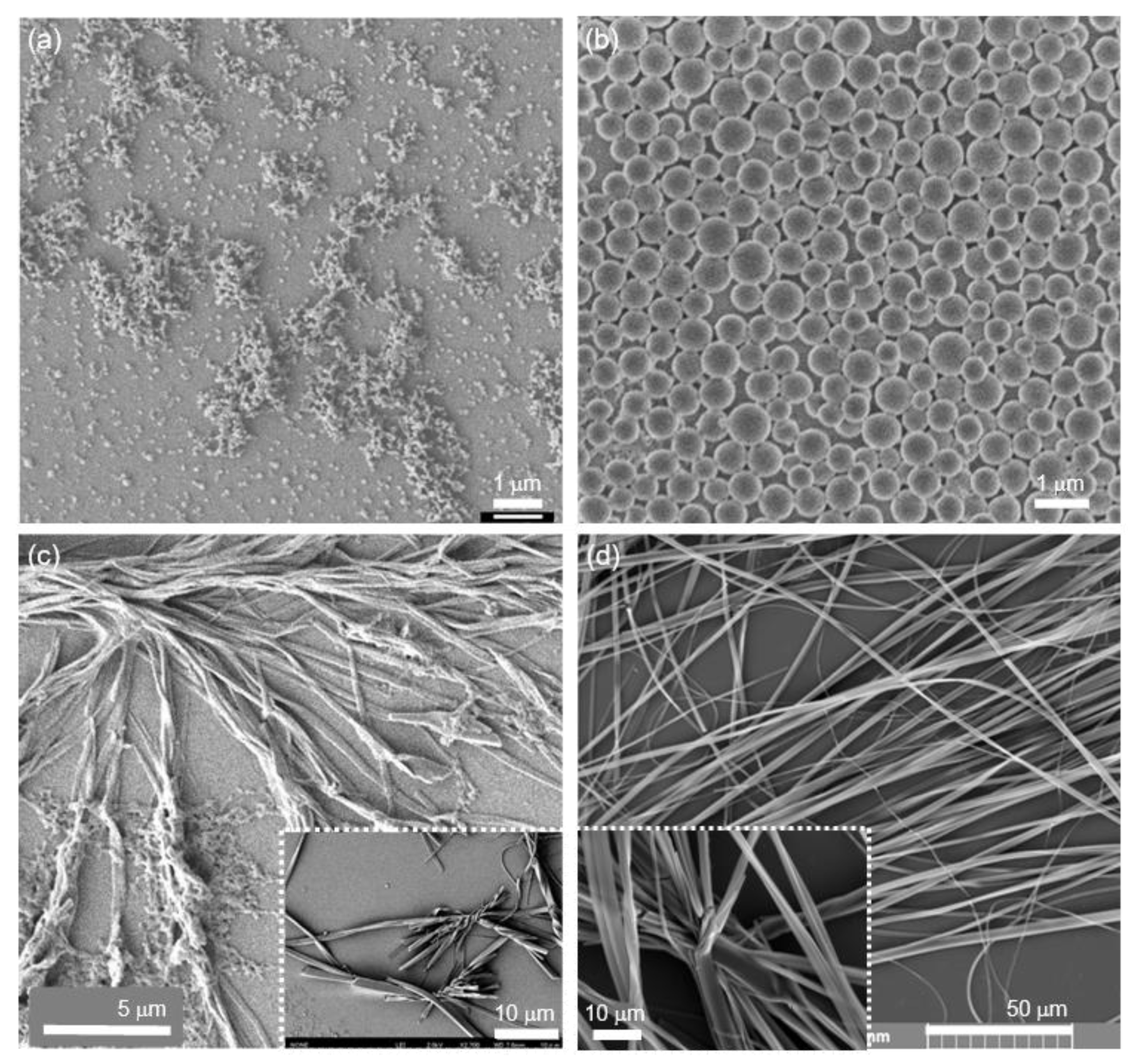 Ijms 23 00965 g004 550