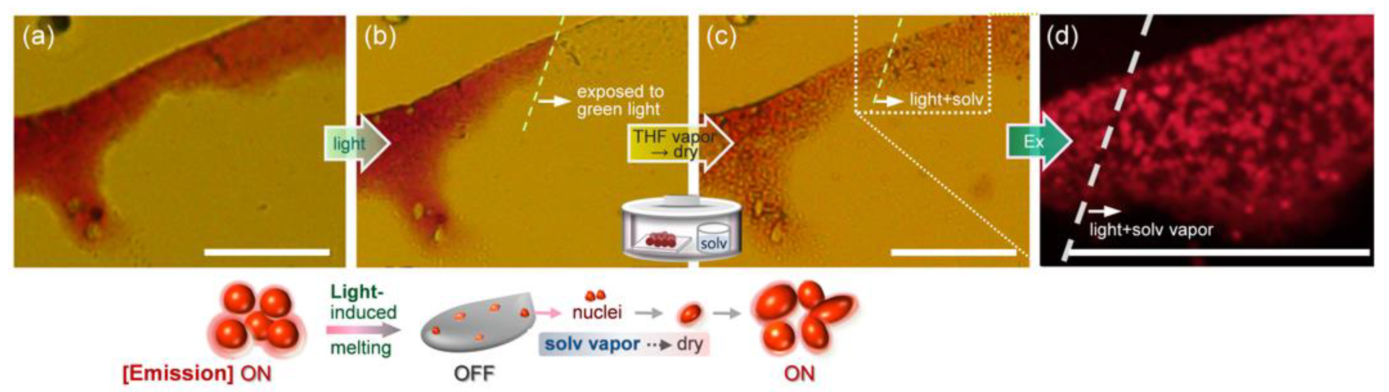 Ijms 23 00965 g009 550