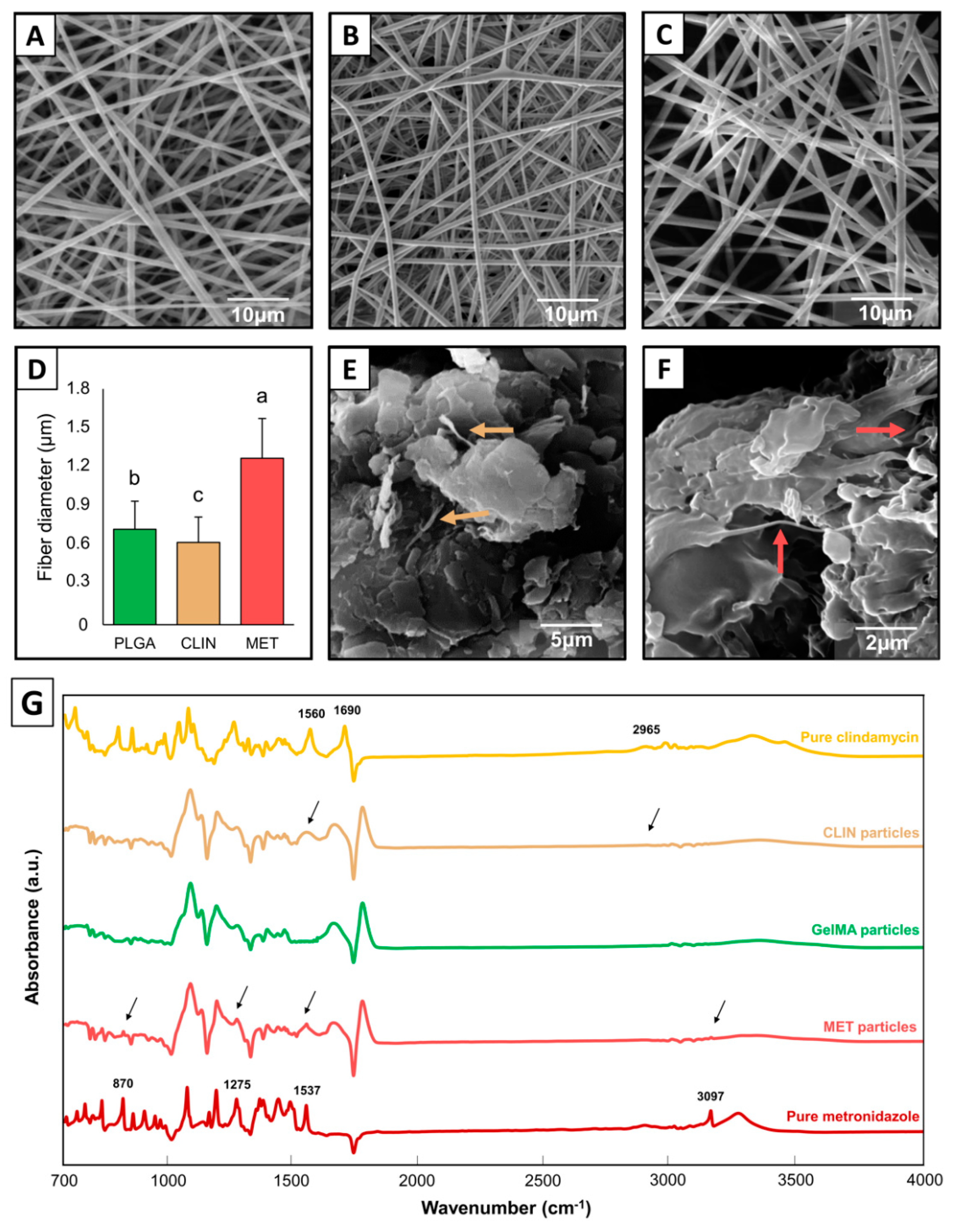 Ijms 23 00971 g001 550