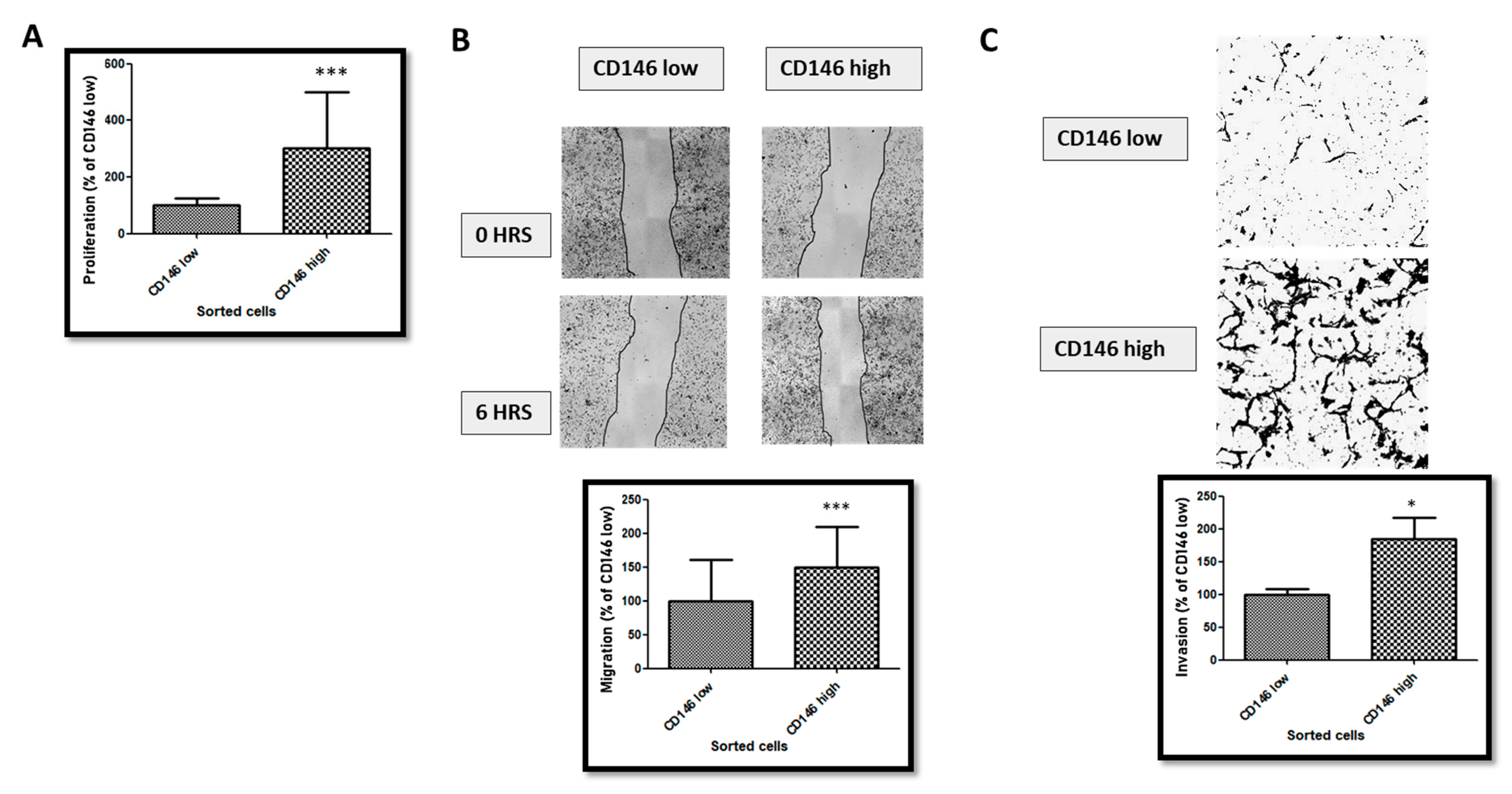 Ijms 23 00974 g003 550