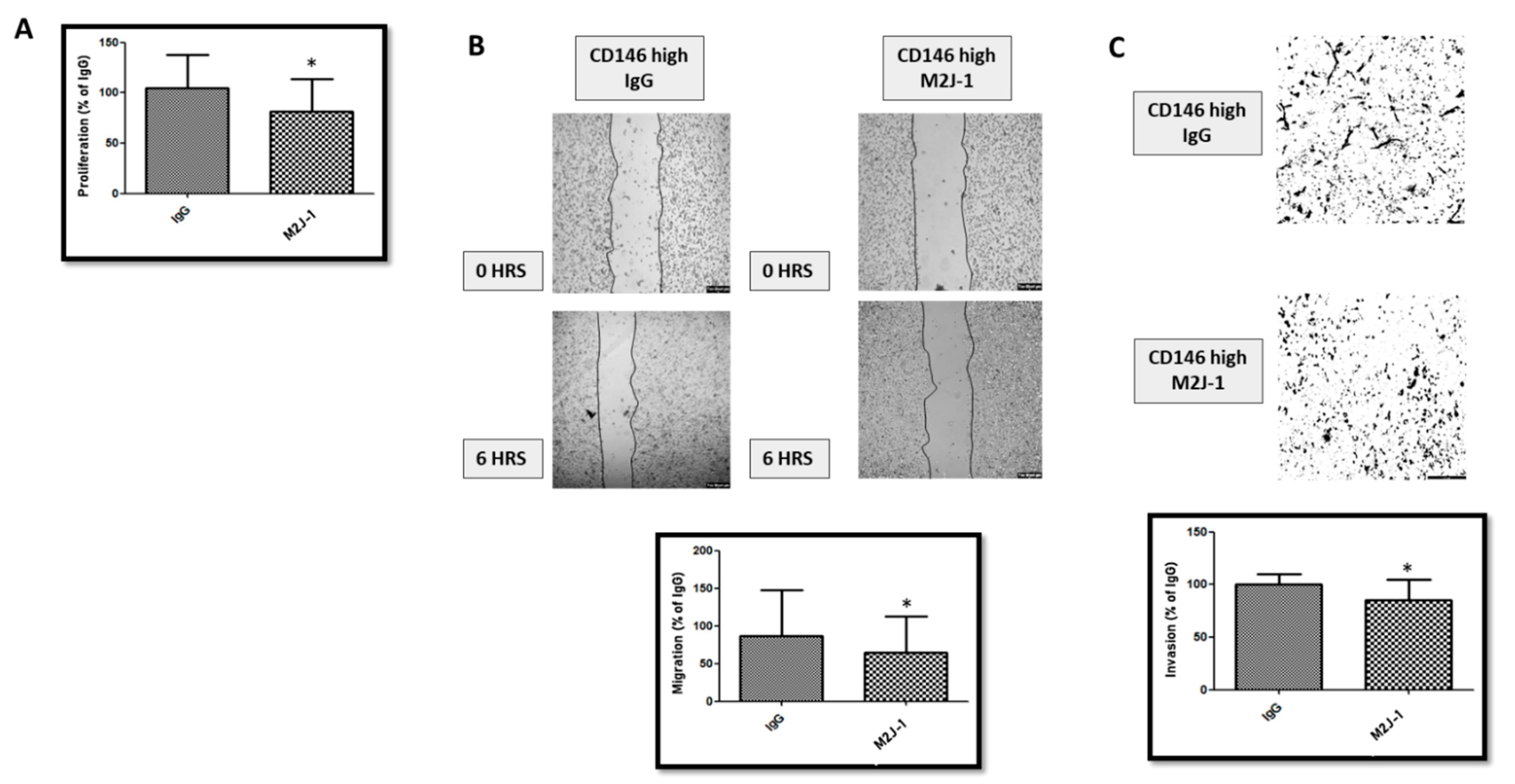 Ijms 23 00974 g005 550