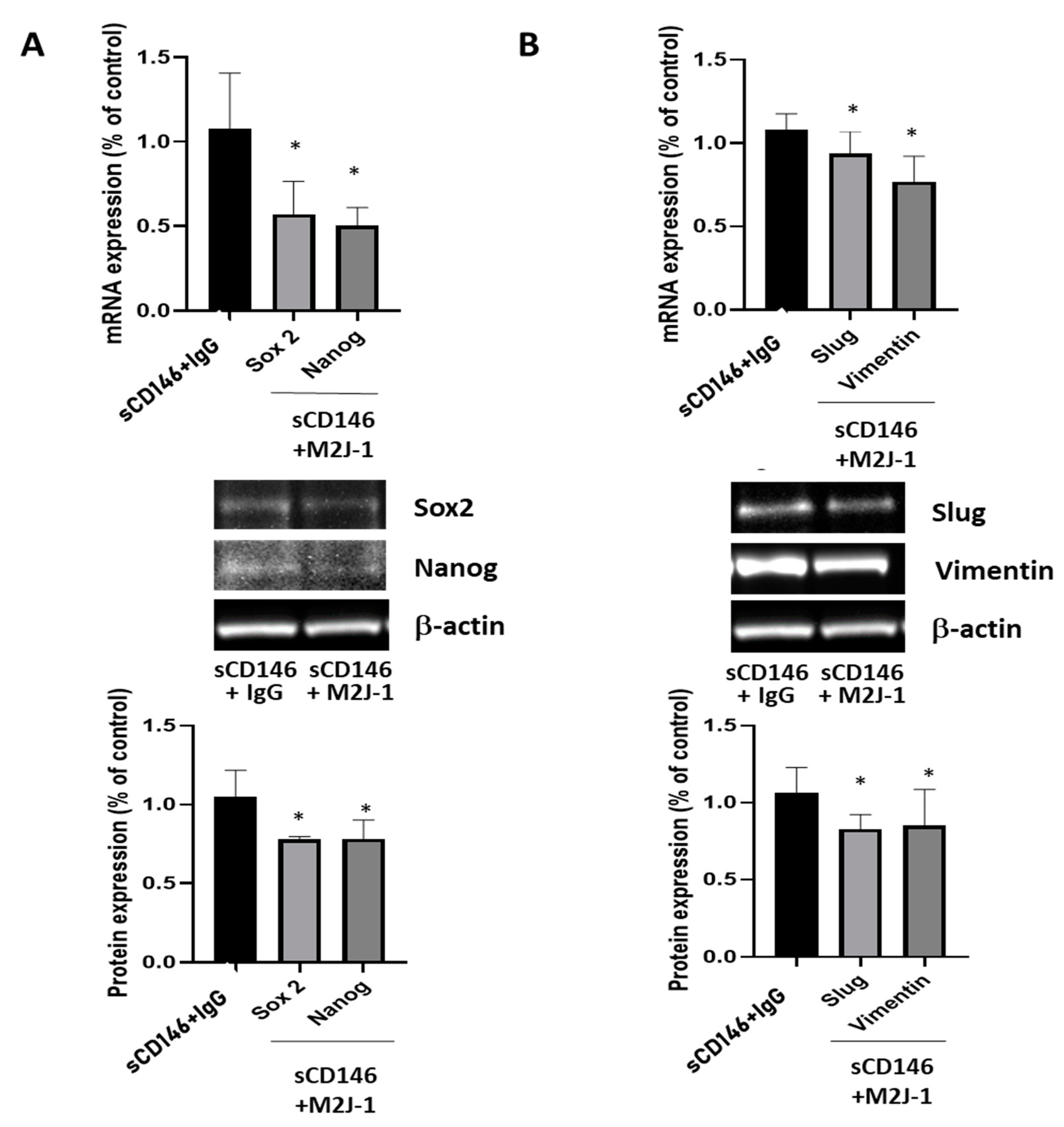 Ijms 23 00974 g006 550
