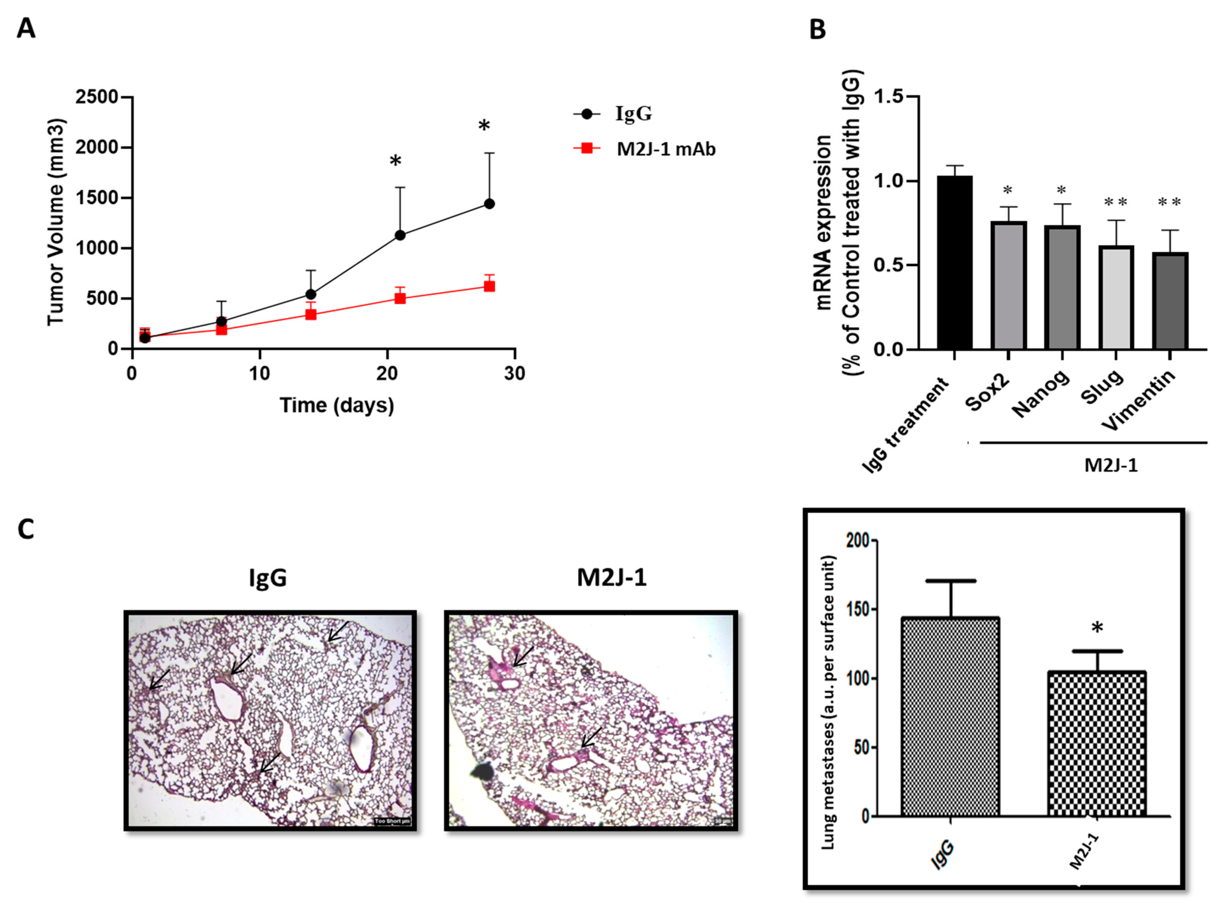 Ijms 23 00974 g007 550