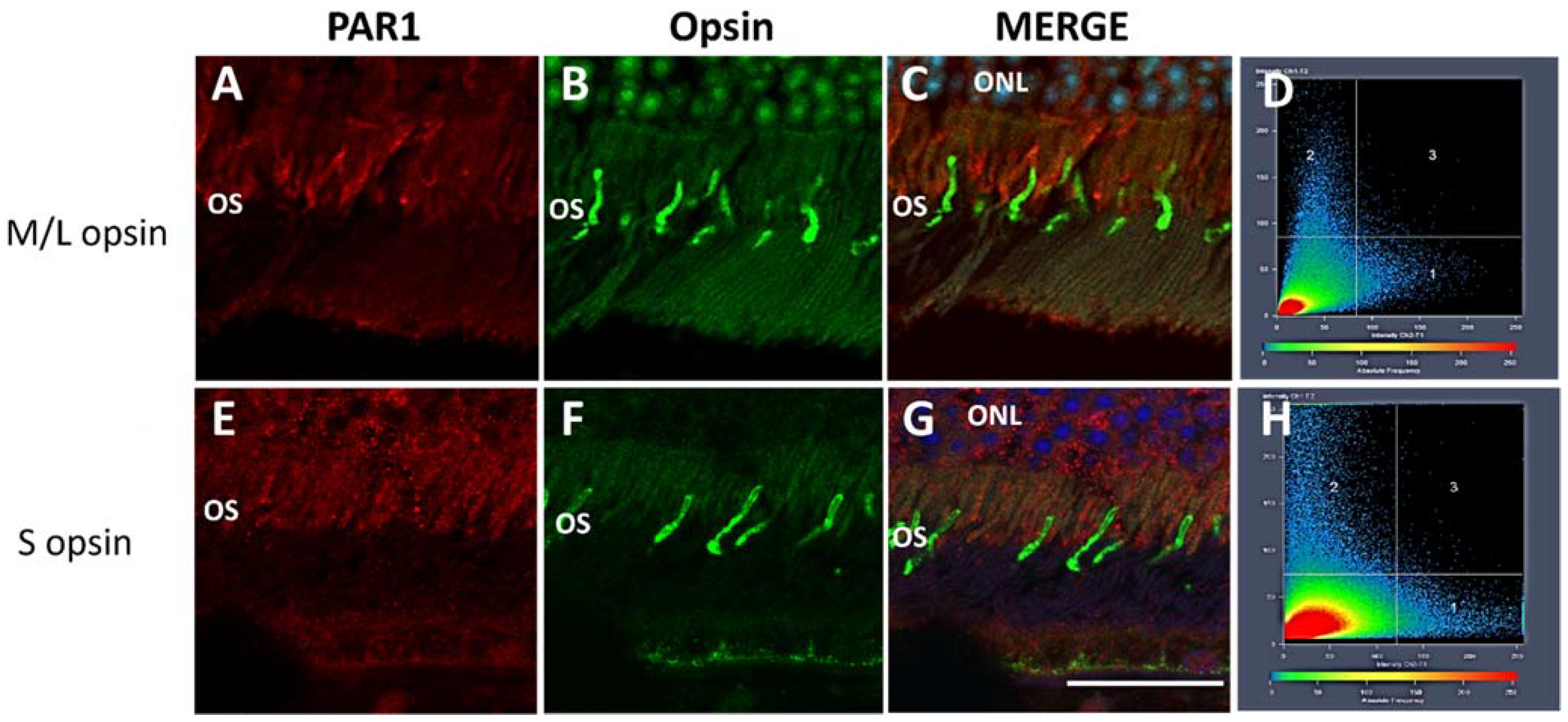 Ijms 23 00984 g003 Ijms 23 00984 g003