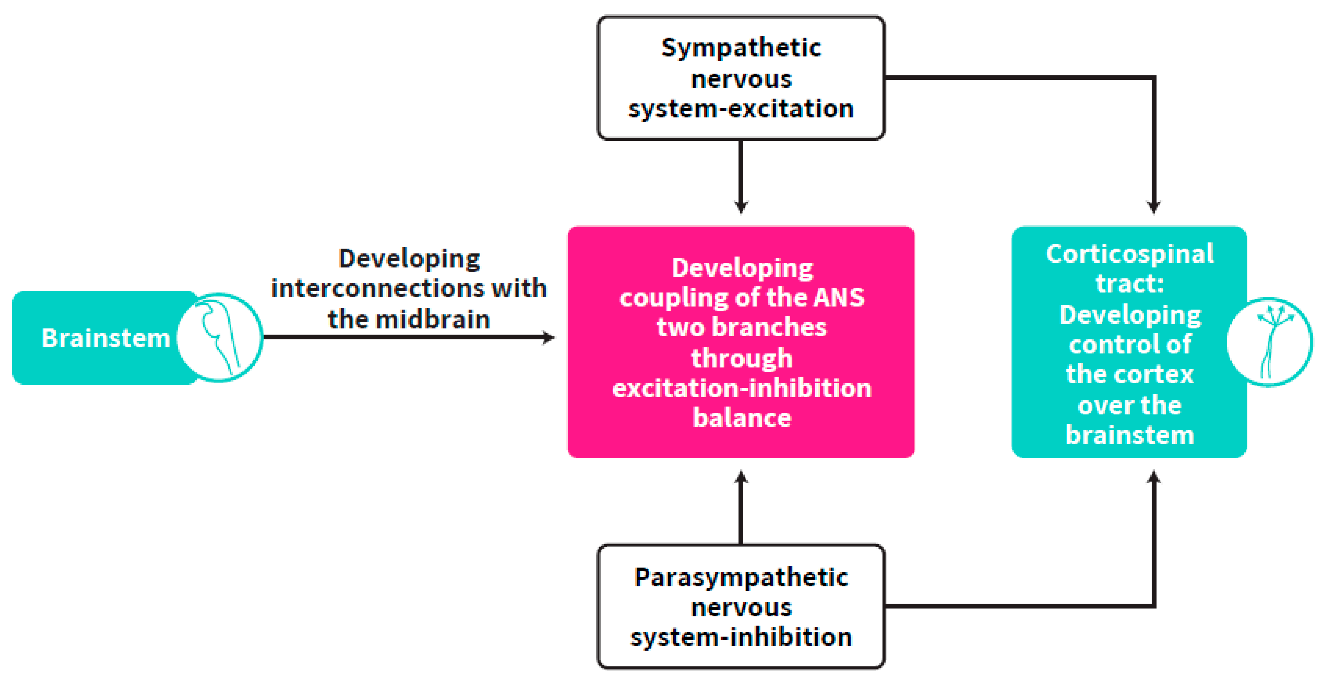 Ijms 23 00993 g006 Ijms 23 00993 g006