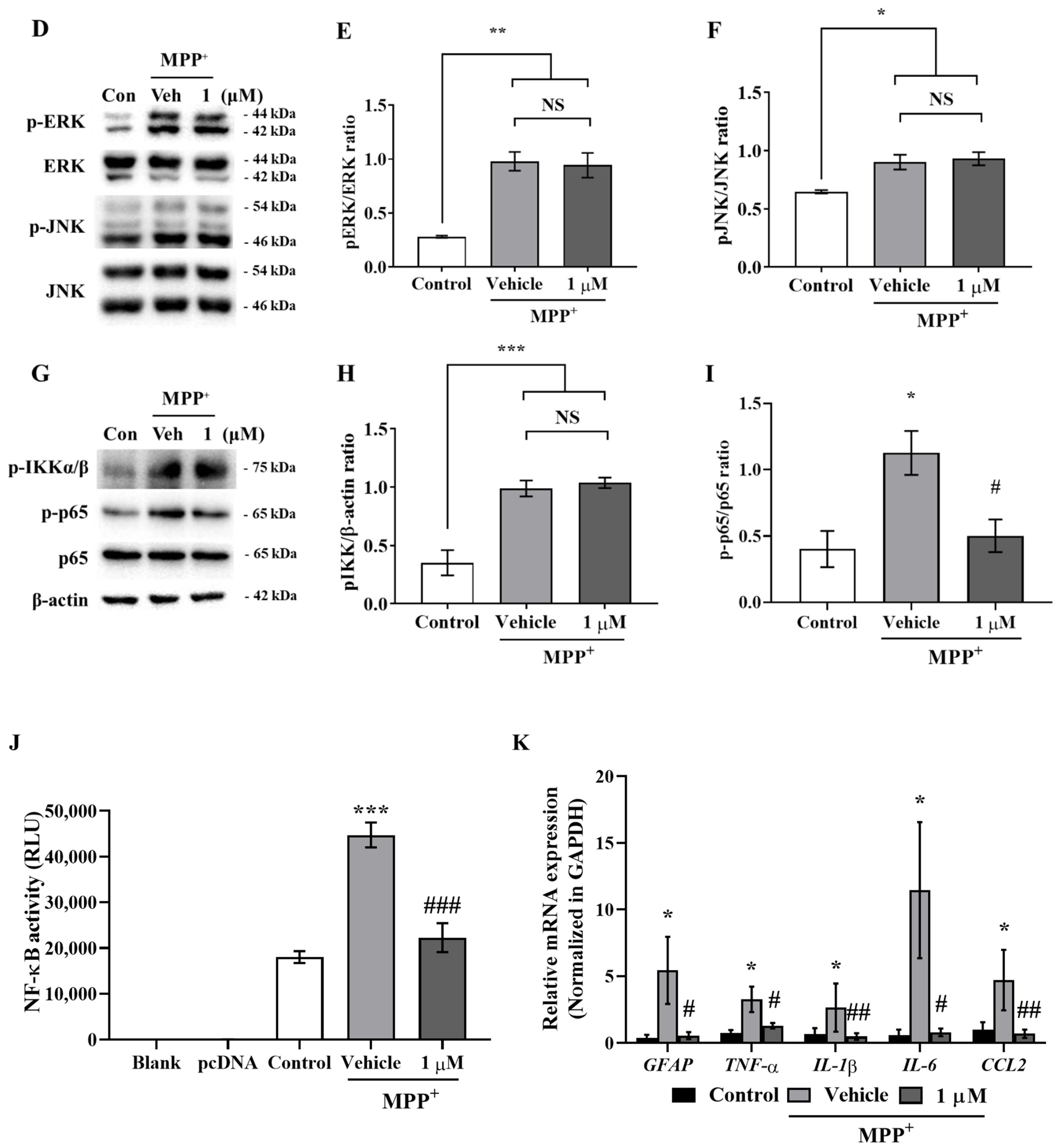 Ijms 23 00998 g001b 550