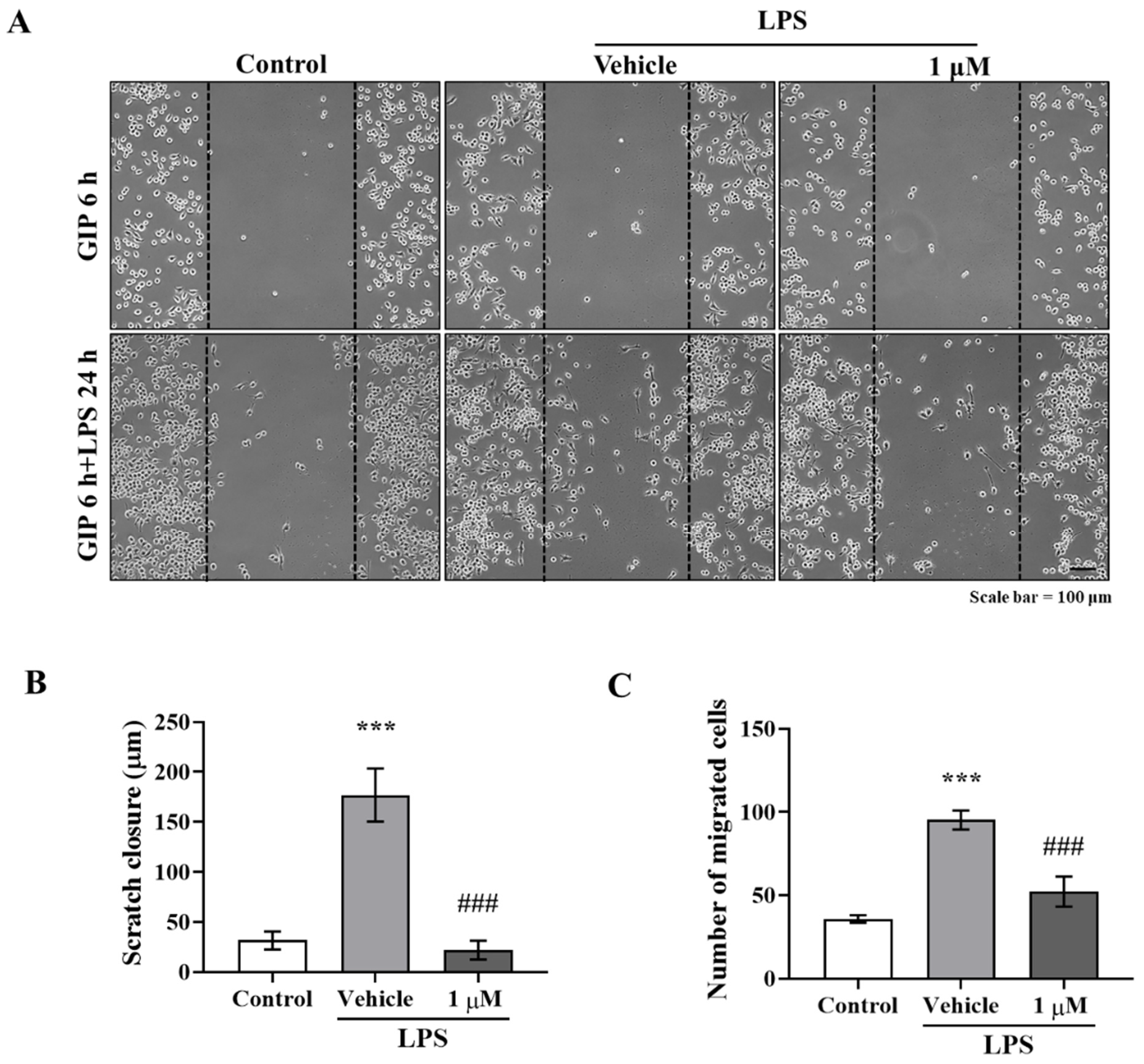 Ijms 23 00998 g002a 550