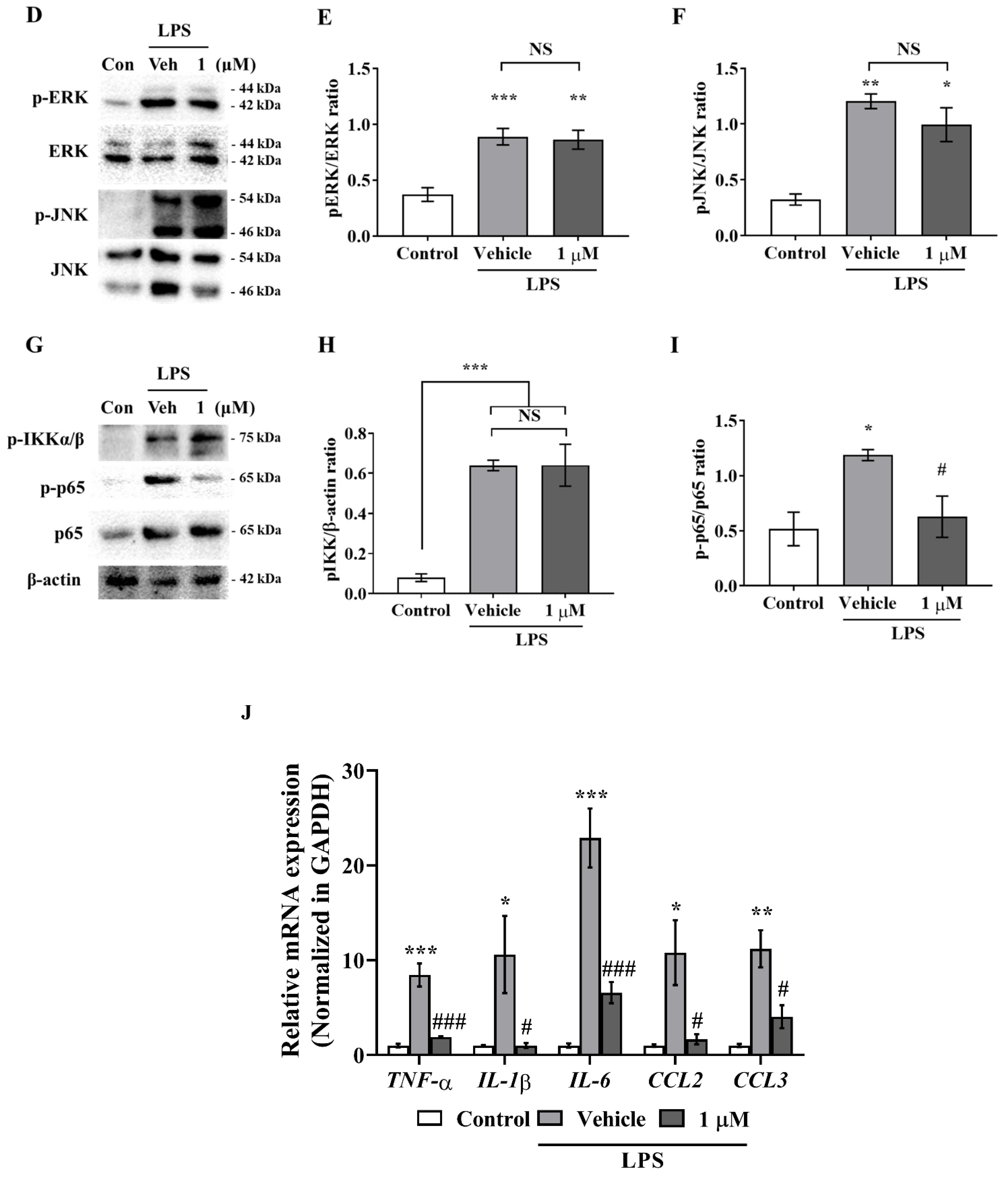 Ijms 23 00998 g002b 550