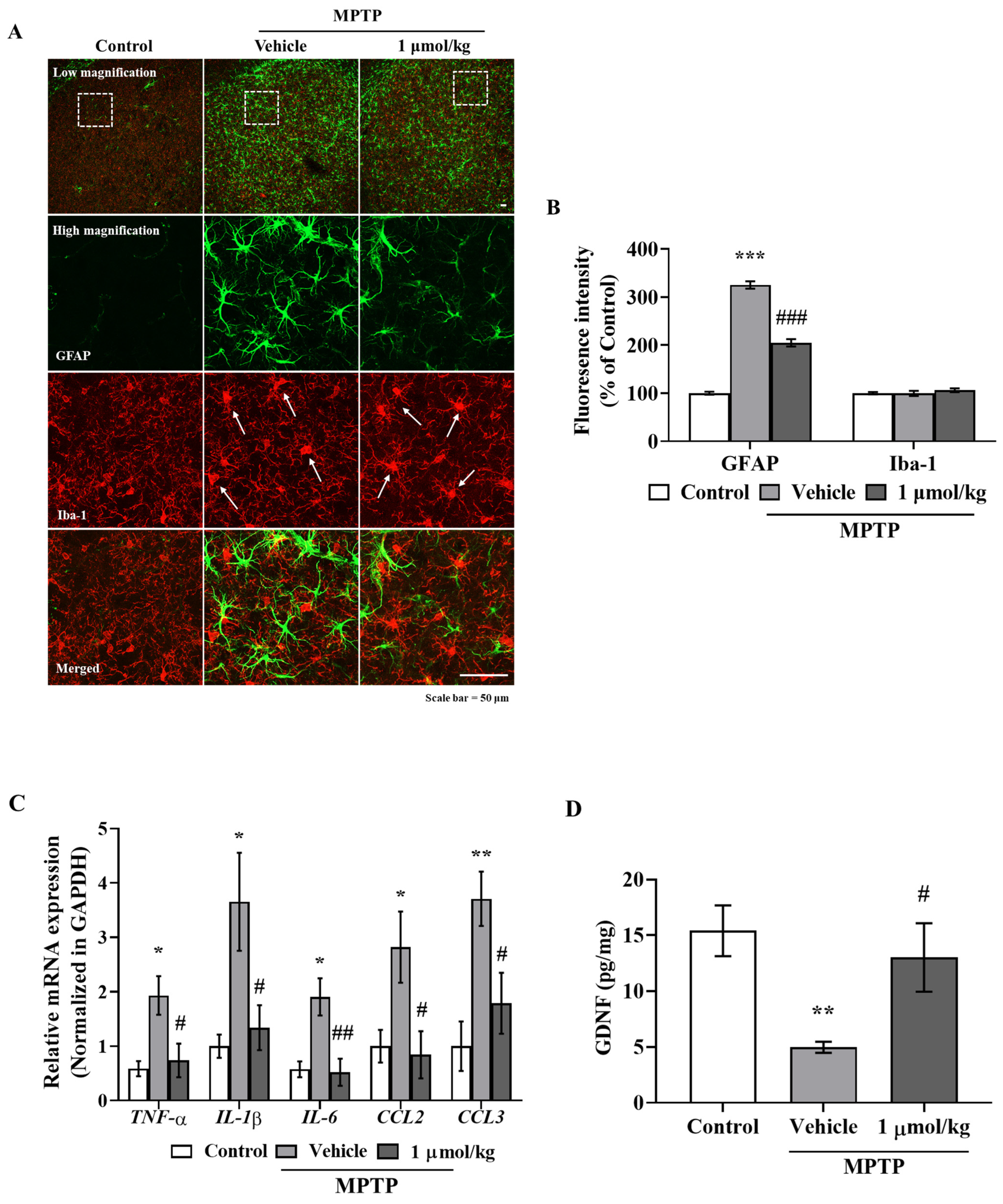 Ijms 23 00998 g005 550