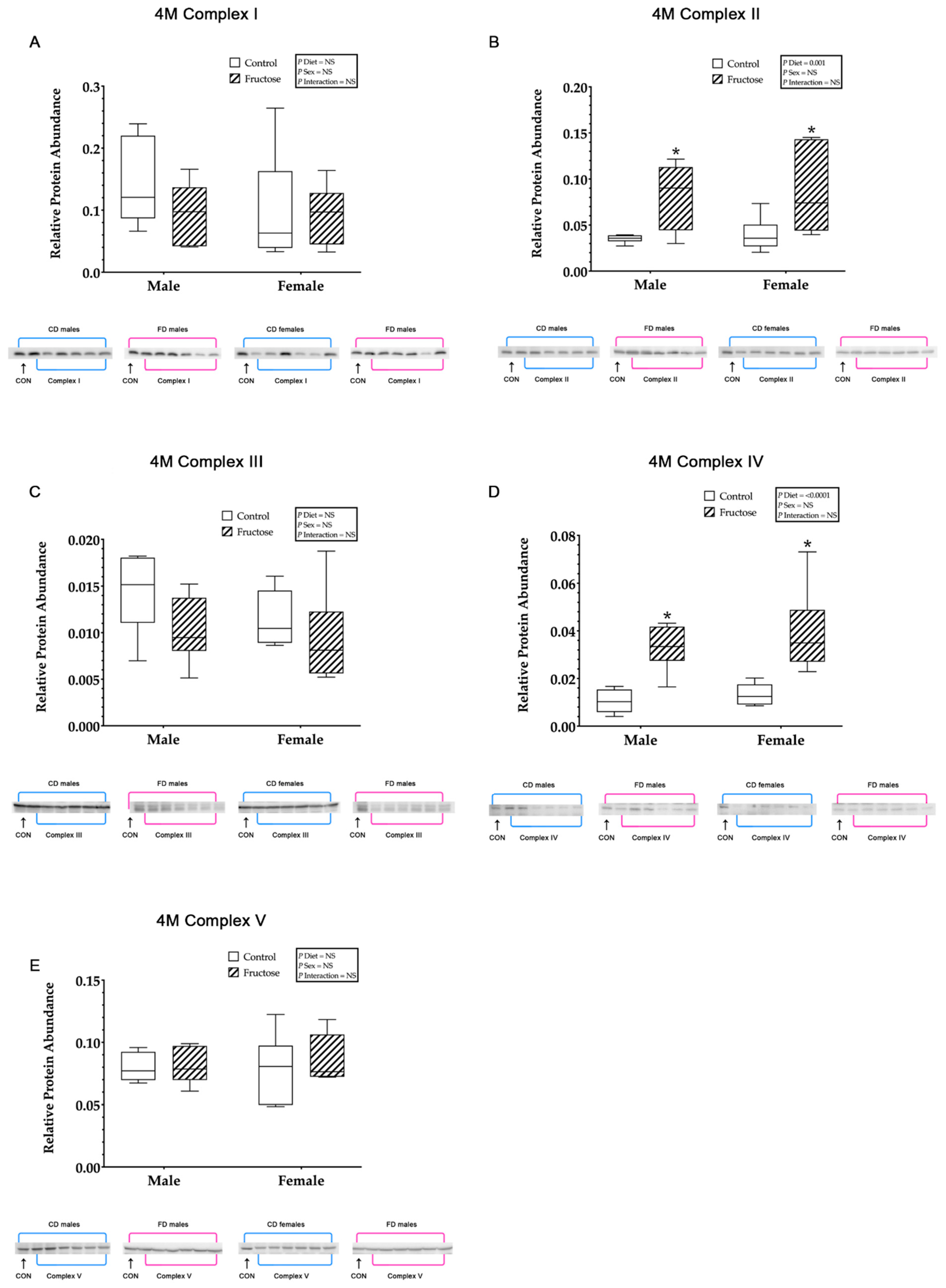 Ijms 23 00999 g004 Ijms 23 00999 g004