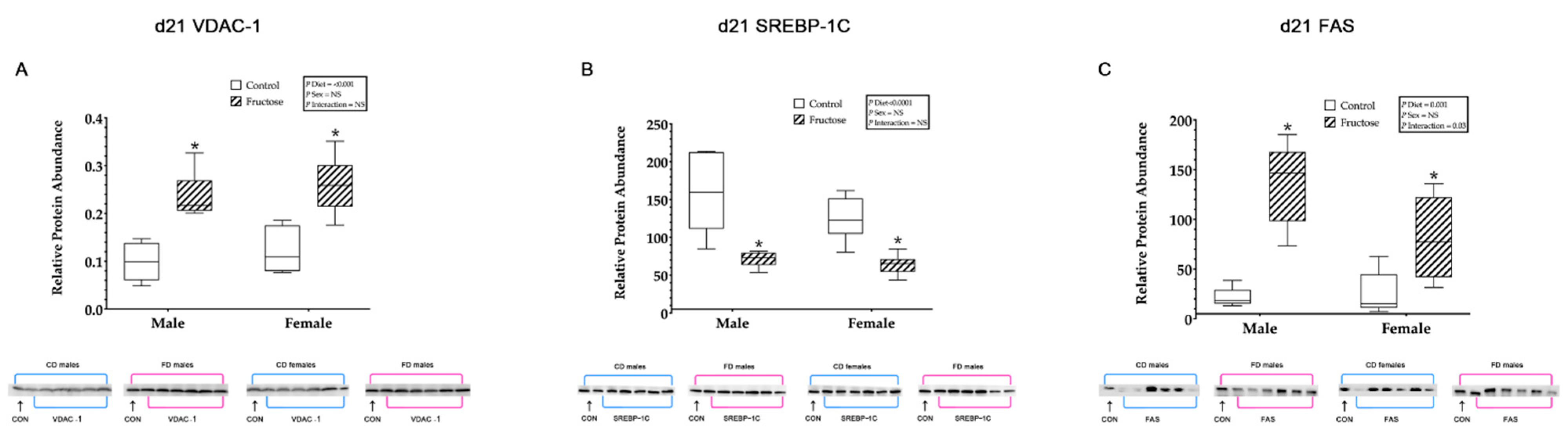 Ijms 23 00999 g005 Ijms 23 00999 g005