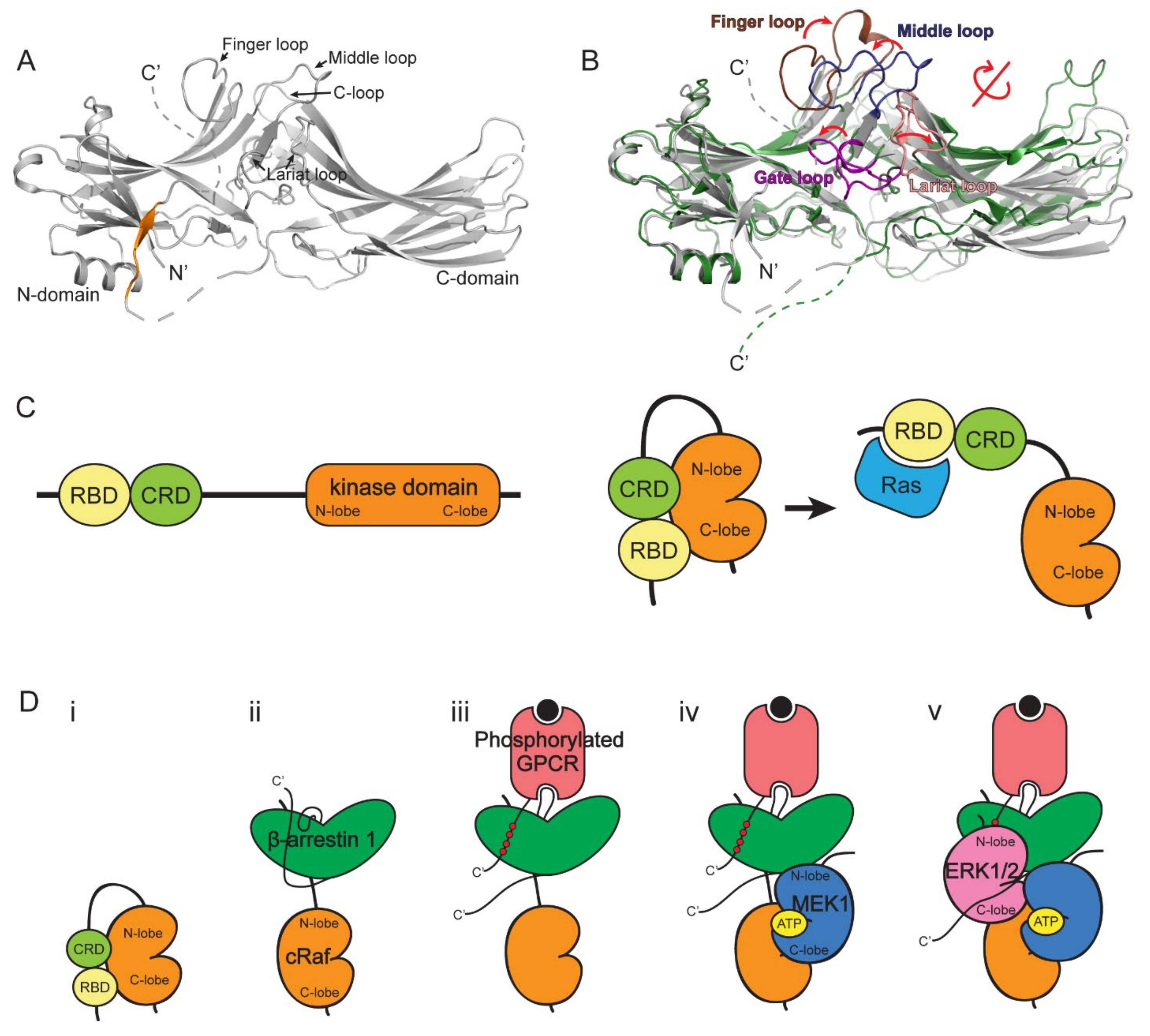 Ijms 23 01000 g002 Ijms 23 01000 g002