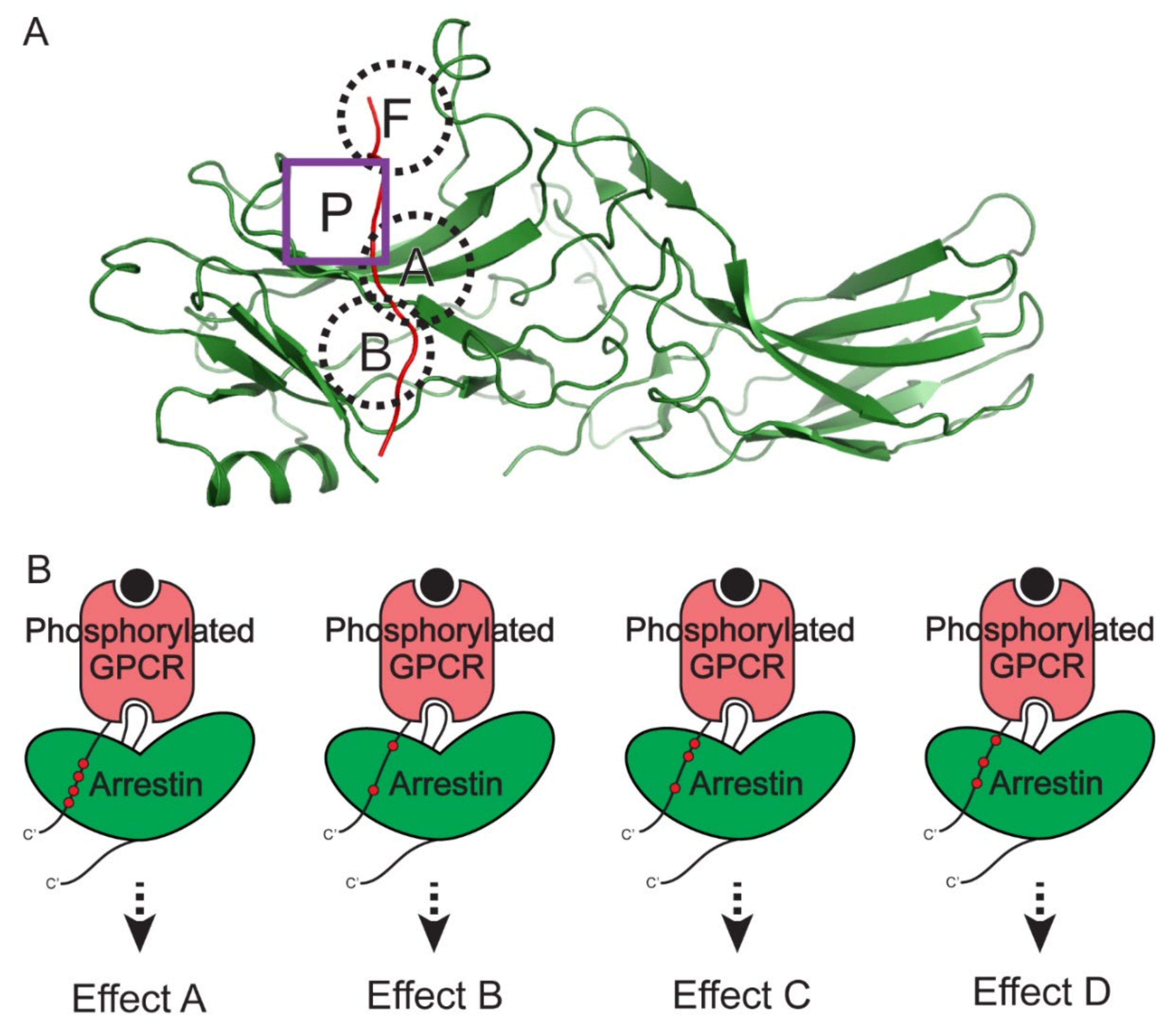 Ijms 23 01000 g004 Ijms 23 01000 g004