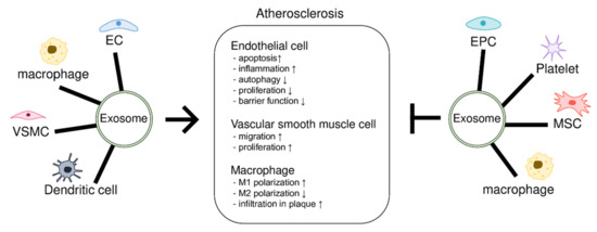 Exosome-Based Treatment for Atherosclerosis