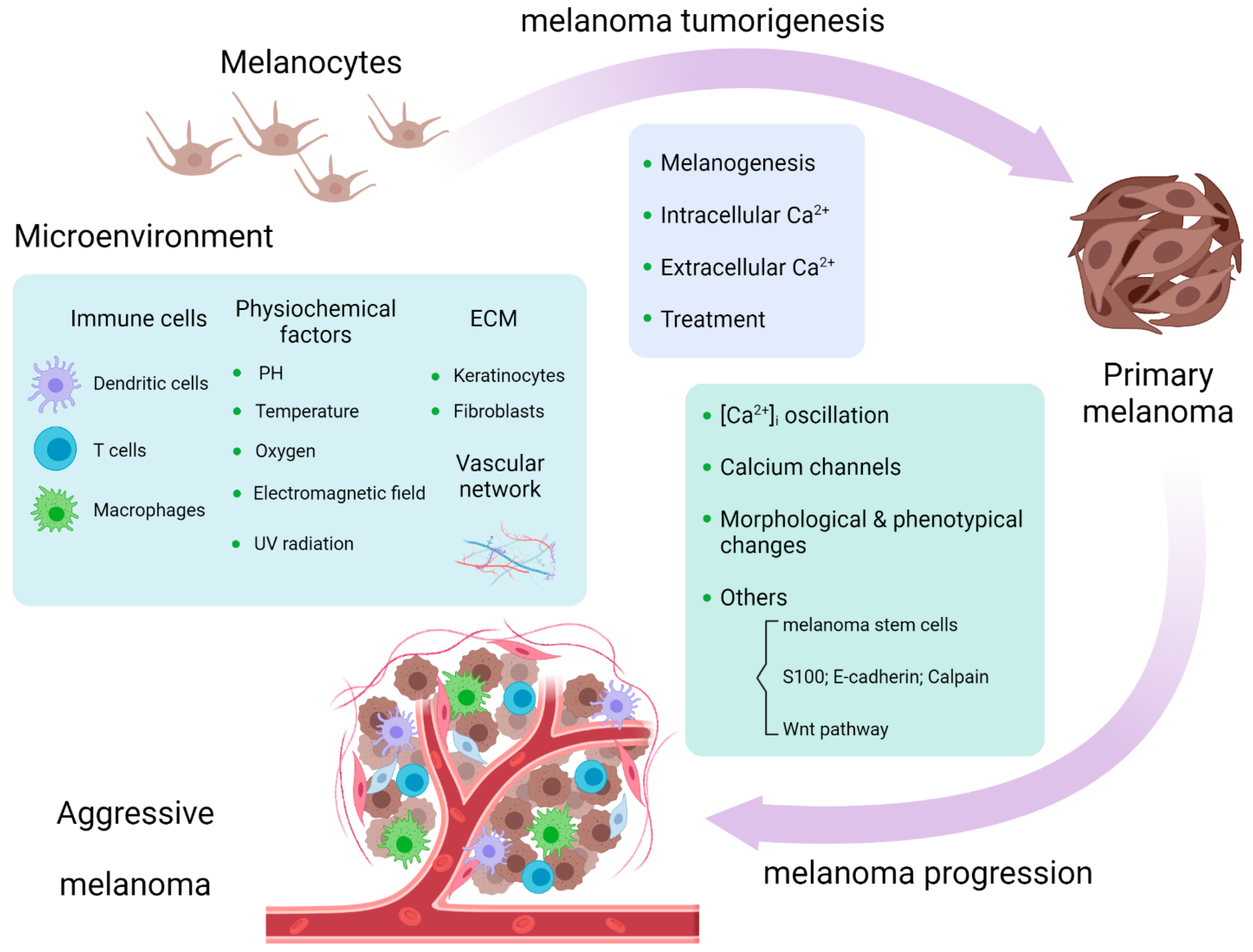 Ijms 23 01010 g002 Ijms 23 01010 g002