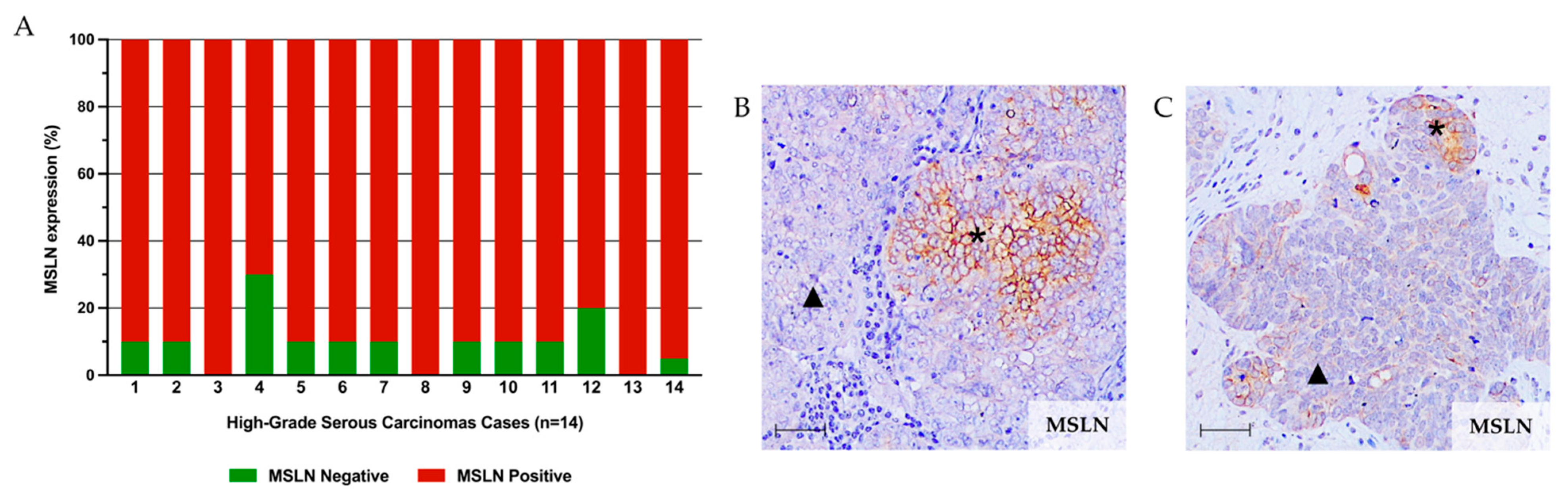 Ijms 23 01016 g001 Ijms 23 01016 g001